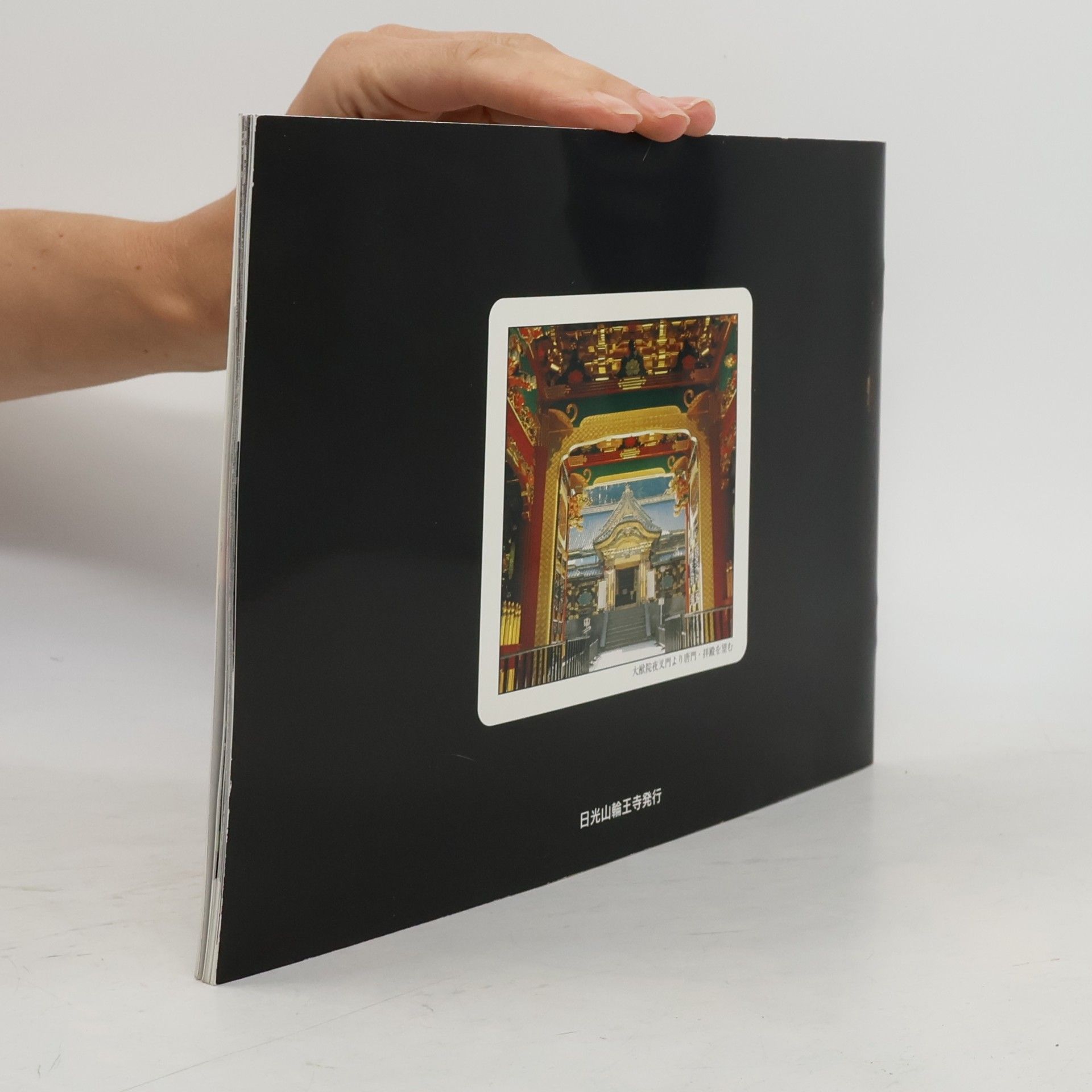 Collectif d'auteurs 日光大観