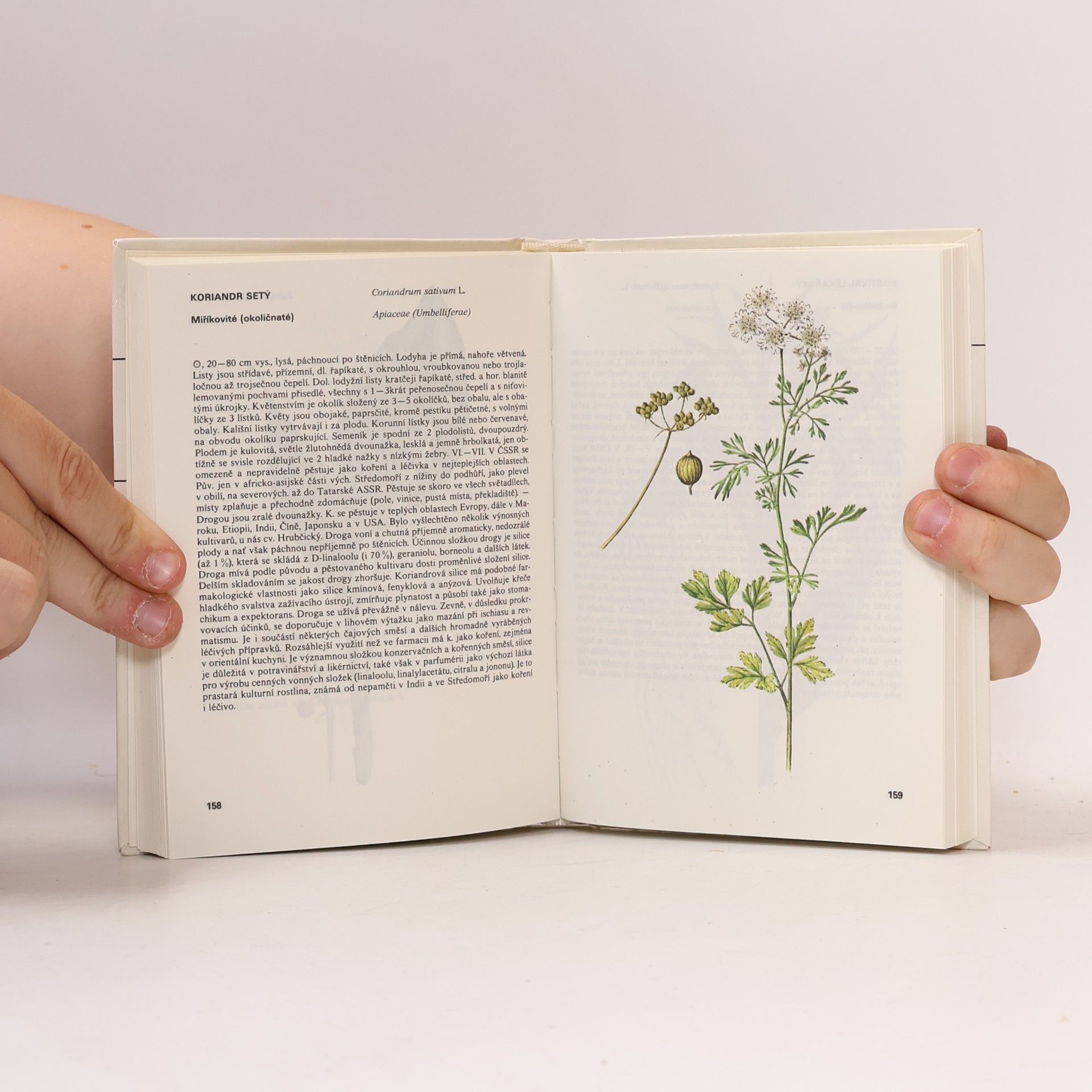 Václav Jirásek Kapesní atlas léčivých rostlin