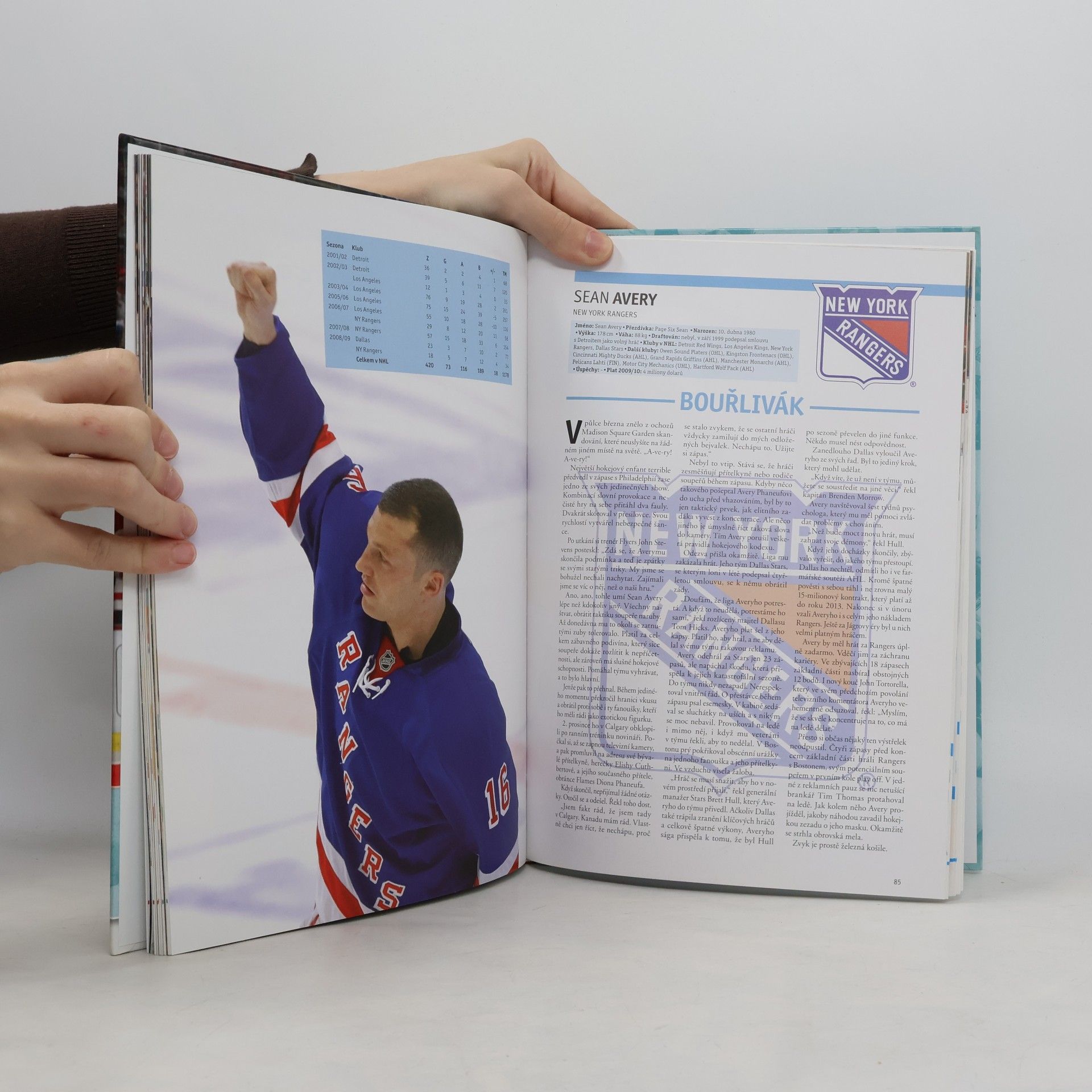 Kolektiv autorů Hvězdy NHL 2010 + Češi a Slováci v sezoně 2008/09