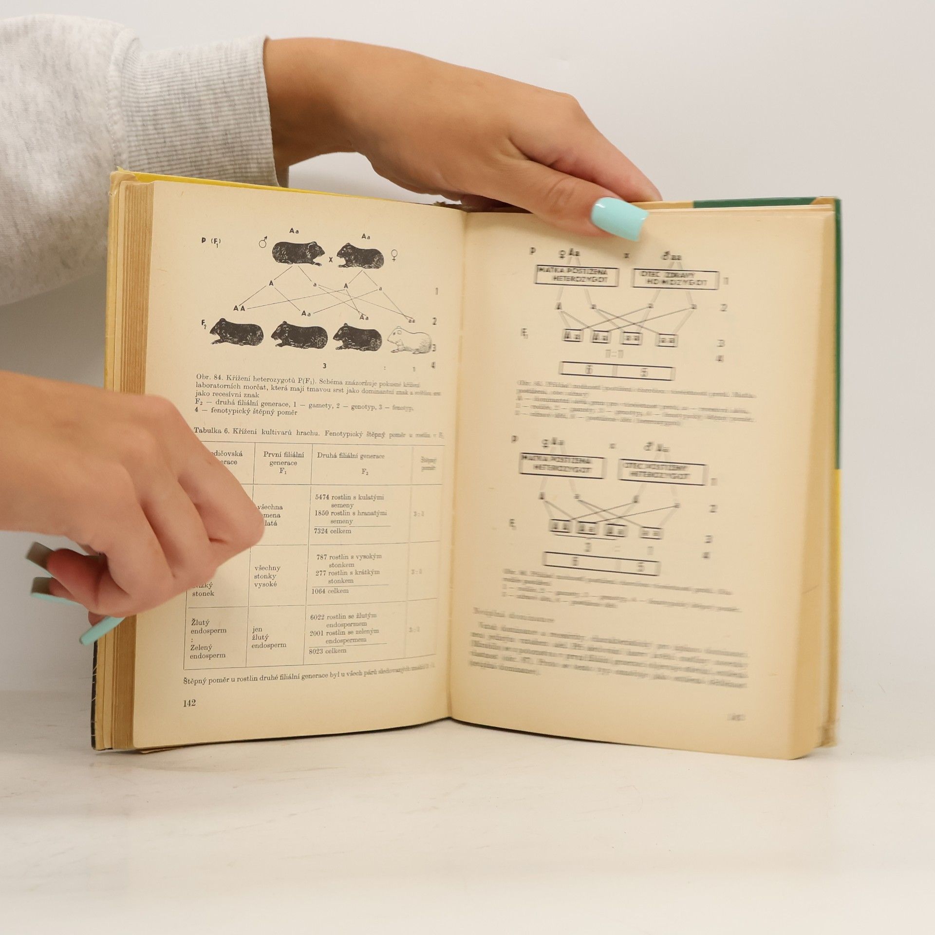 Autorenkollektiv Biologie pro 1. ročník středních průmyslových škol potravinářských