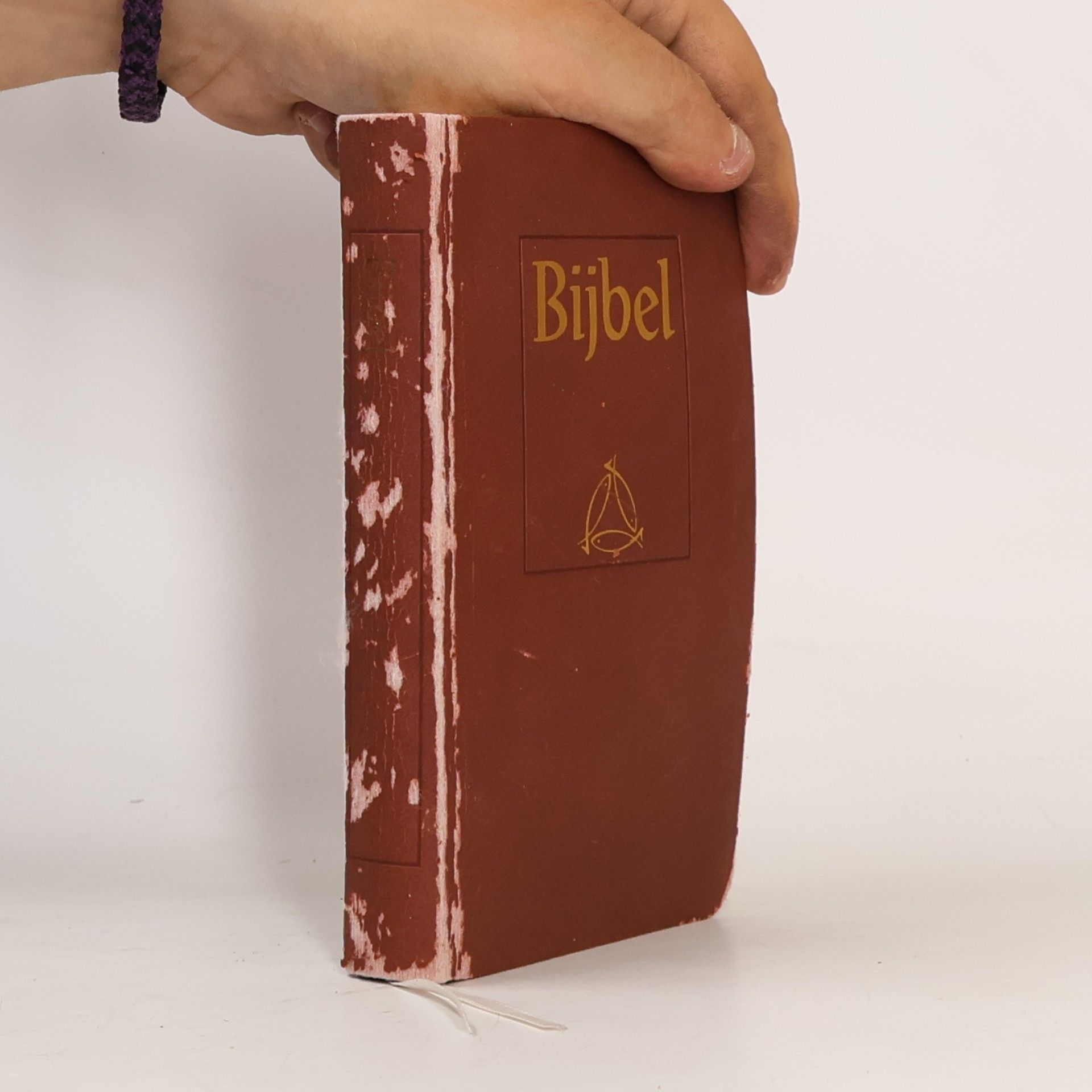 Collectif d'auteurs Bijbel