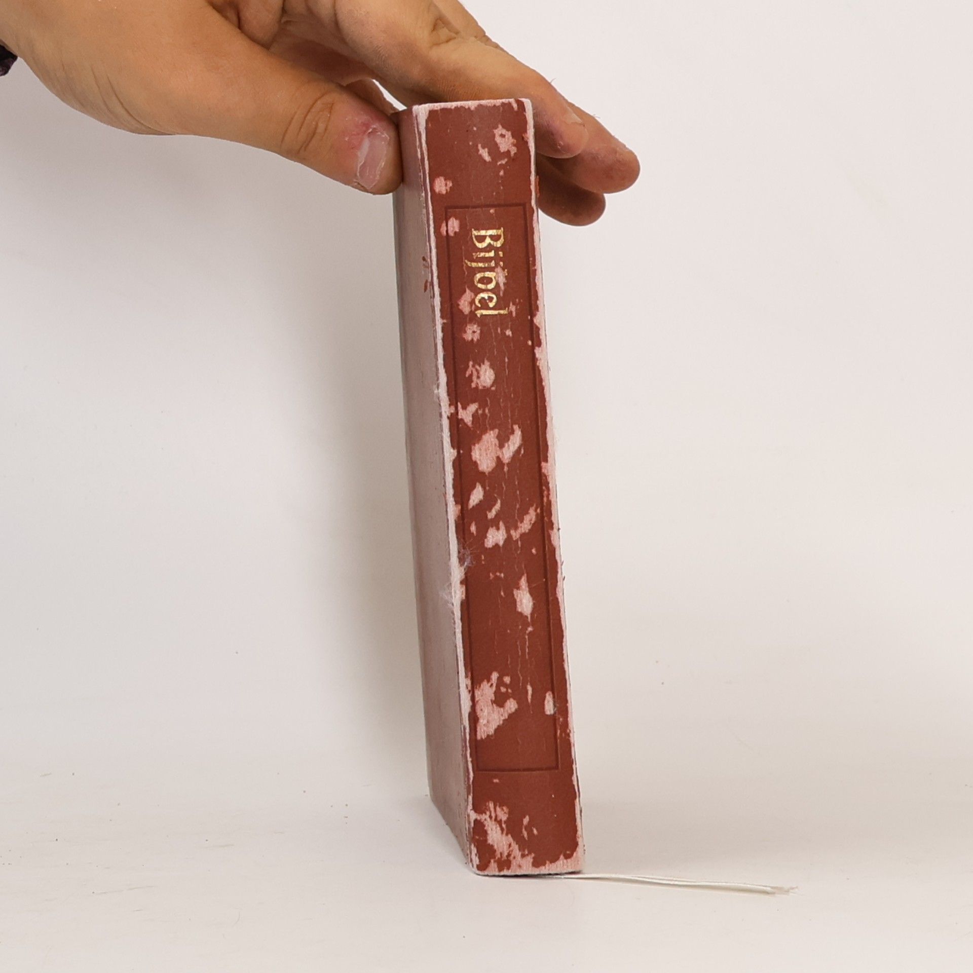 Collectif d'auteurs Bijbel
