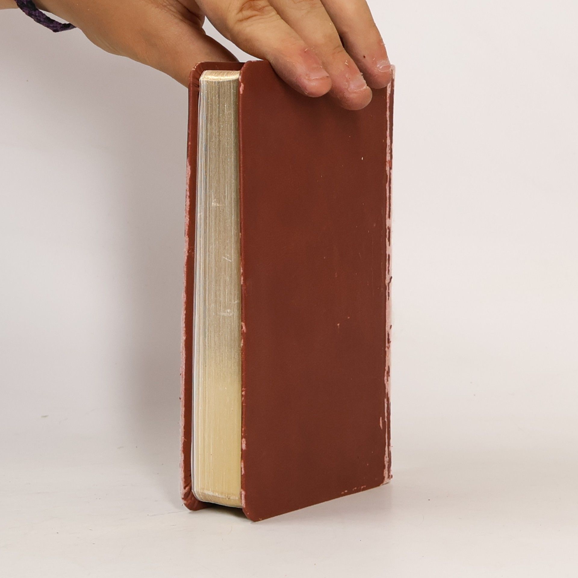 Collectif d'auteurs Bijbel
