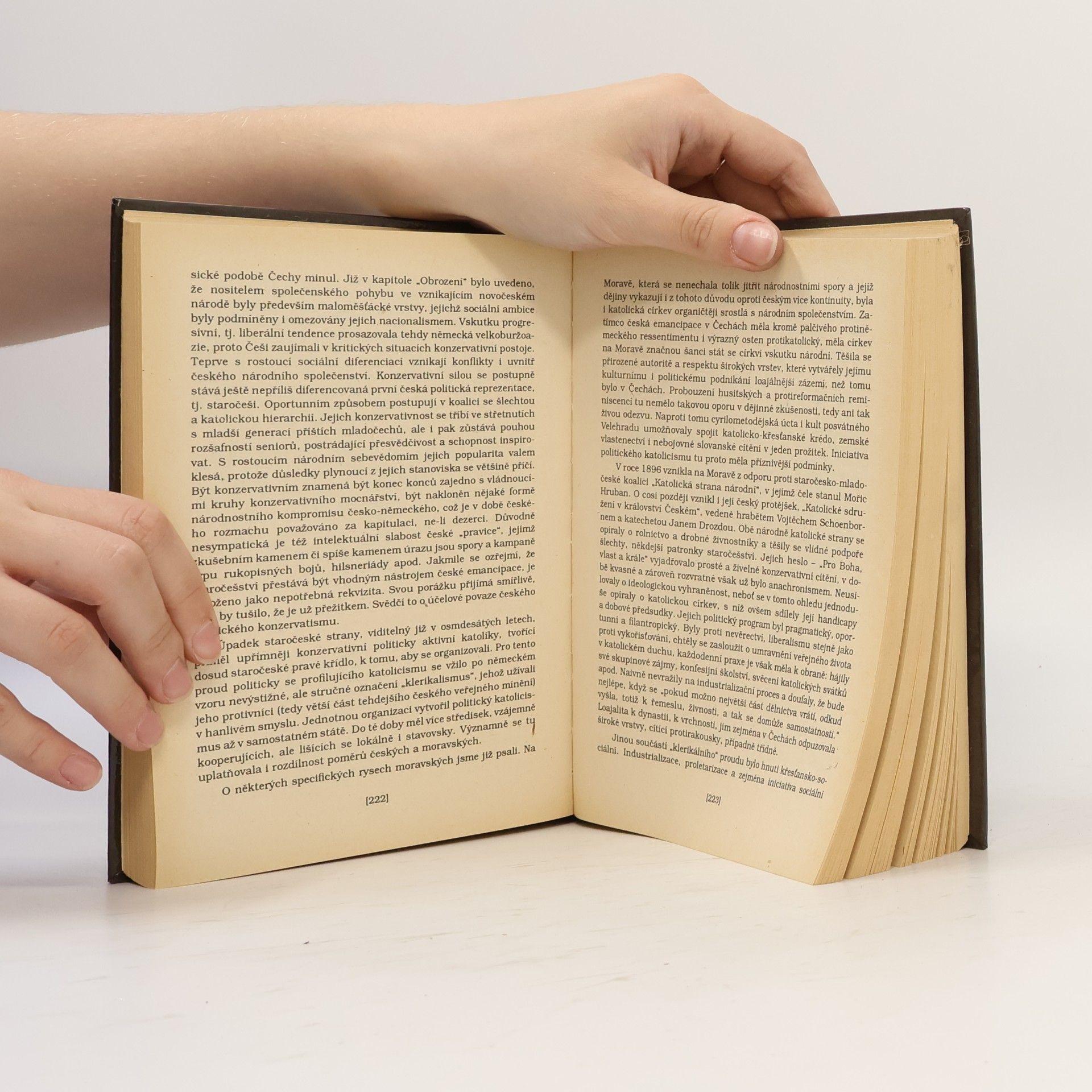 Autorenkollektiv Češi v dějinách nové doby : pokus o zrcadlo