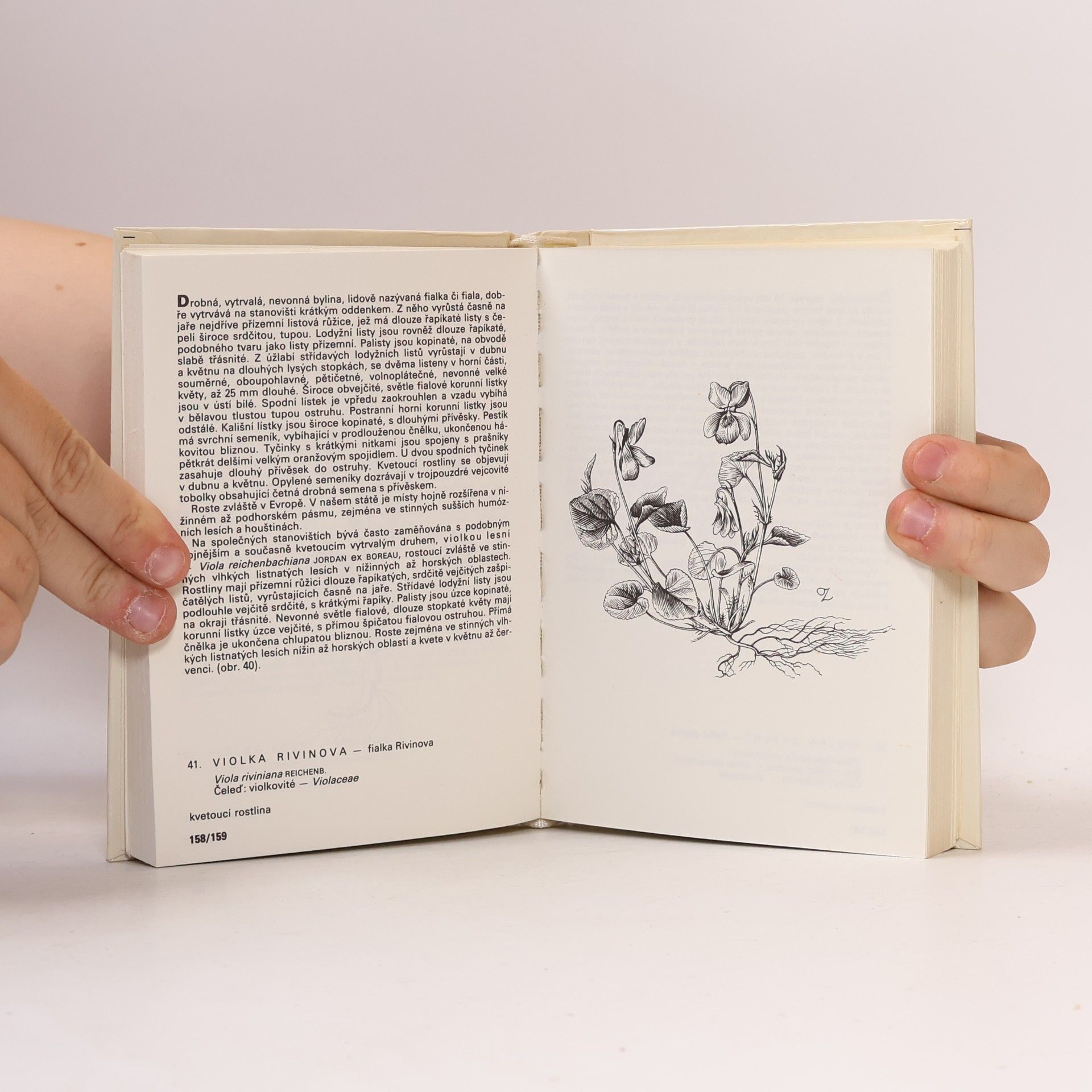 František Hron Rostliny strání, skal, křovin a lesů. Kapesní atlas