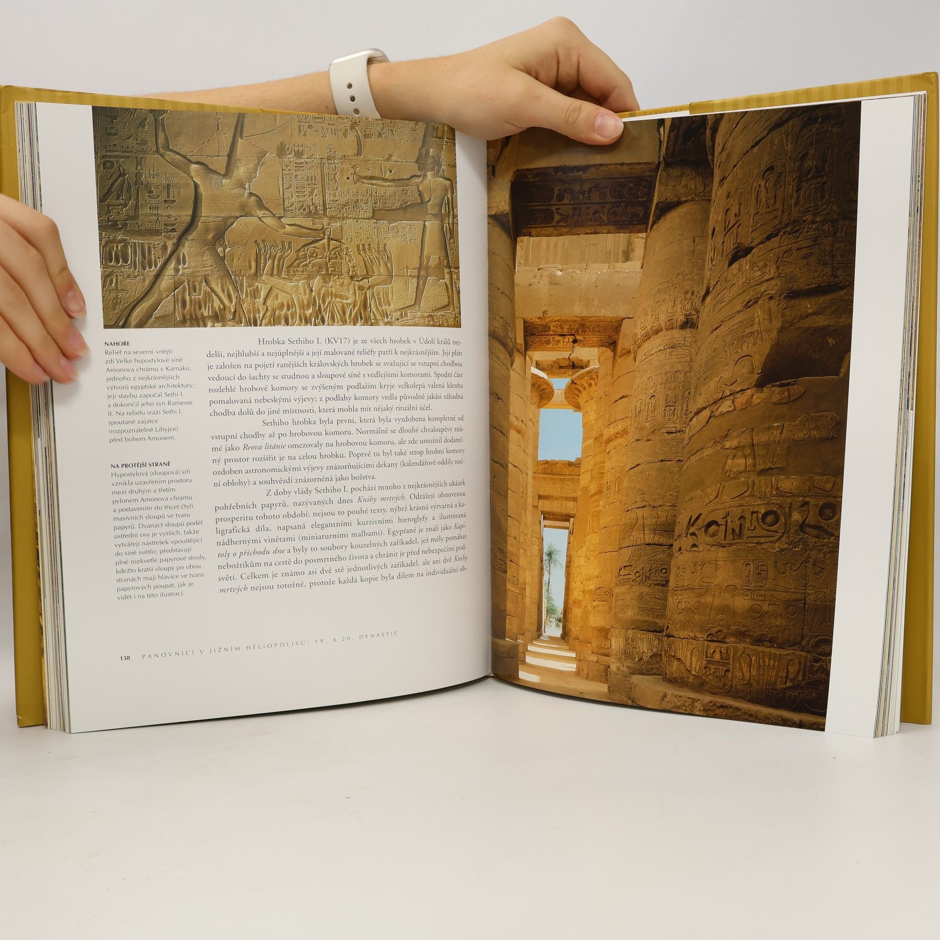 Delia Pemberton Poklady faraonů. Sláva starověkého Egypta