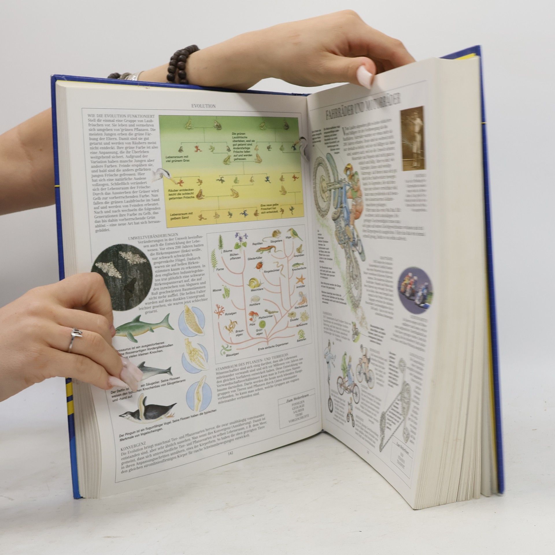 Ann Kramer Das große Ravensburger Lexikon von A-Z. 6000 Suchbegriffe. (Ab 8 Jahre).