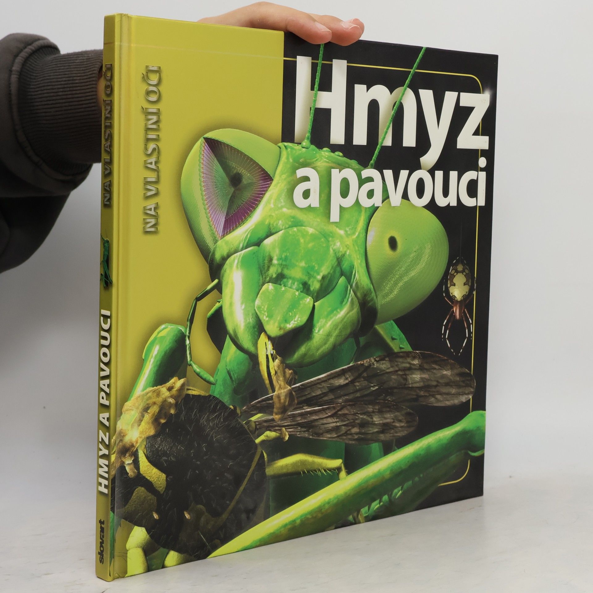 Hmyz a pavouci