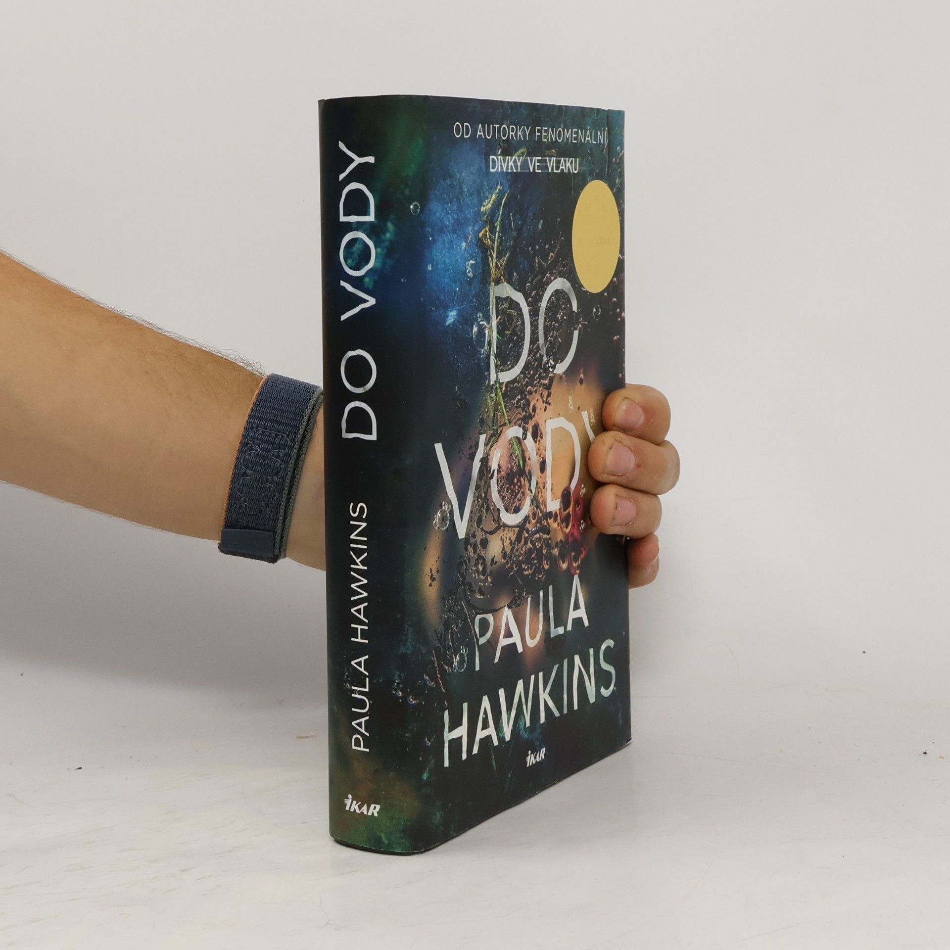 Paula Hawkinsová Do vody