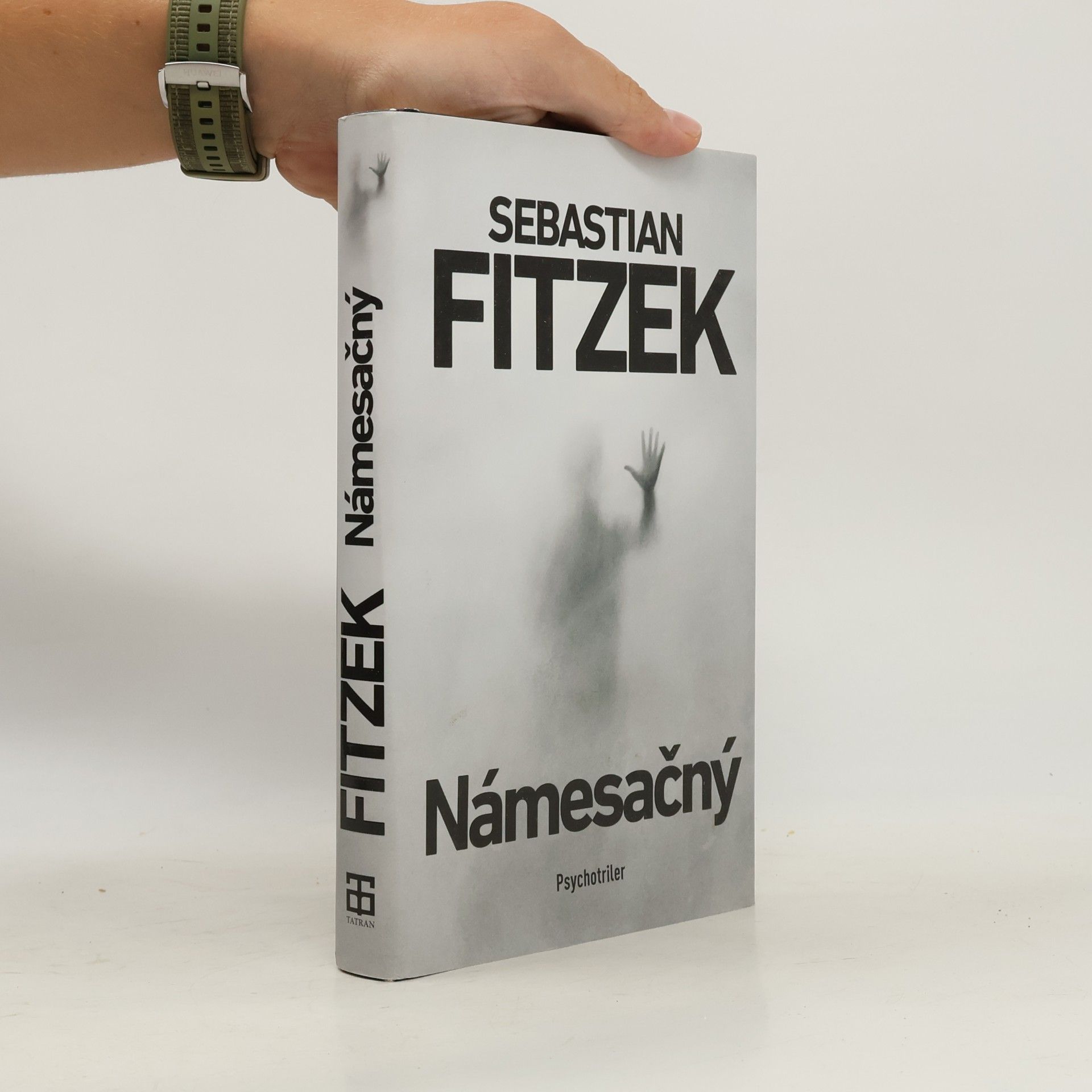 Sebastian Fitzek Námesačný