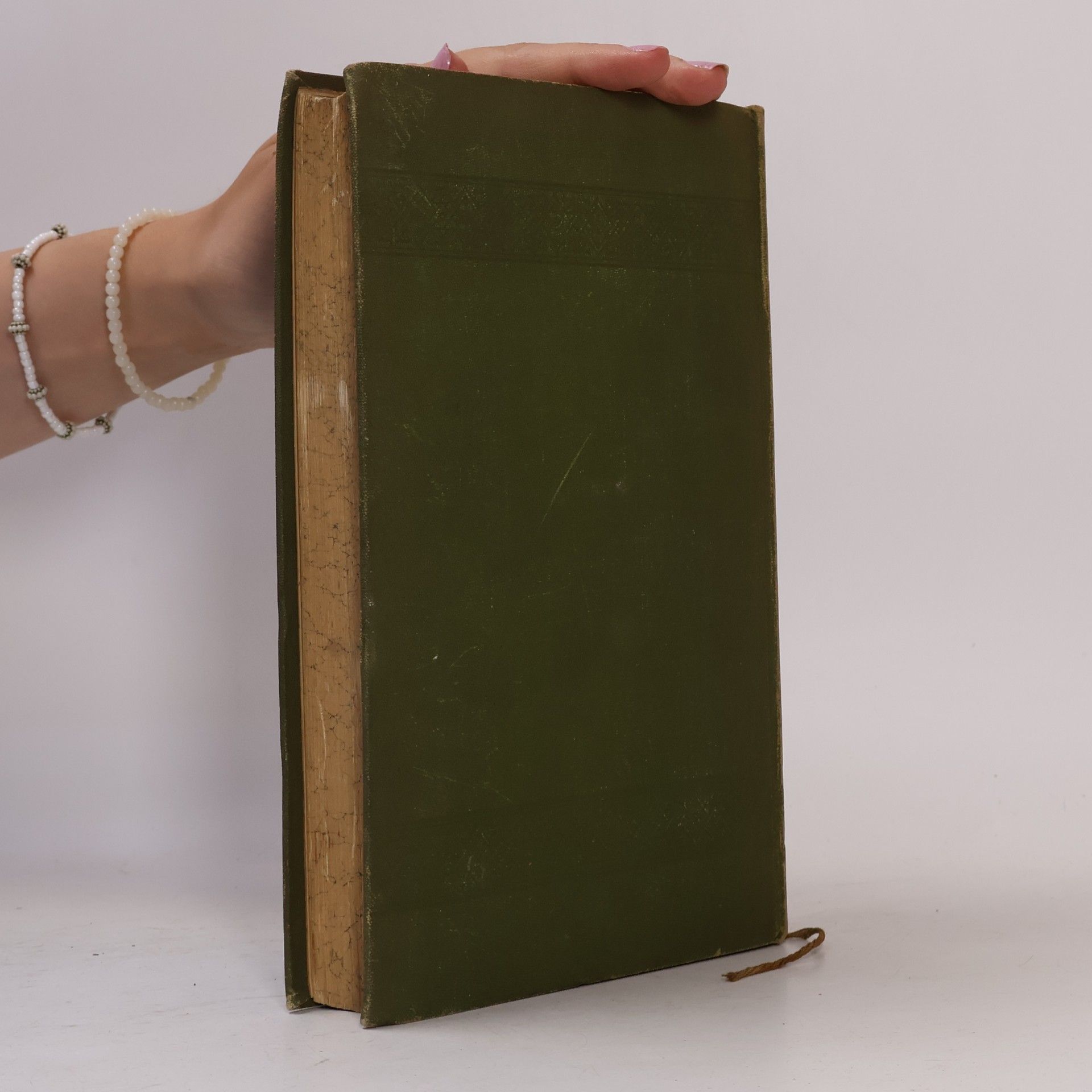 Georg Wagner Handbuch enthaltend die Polizei-Verordnungen für die Provinz Schleswig-Holstein