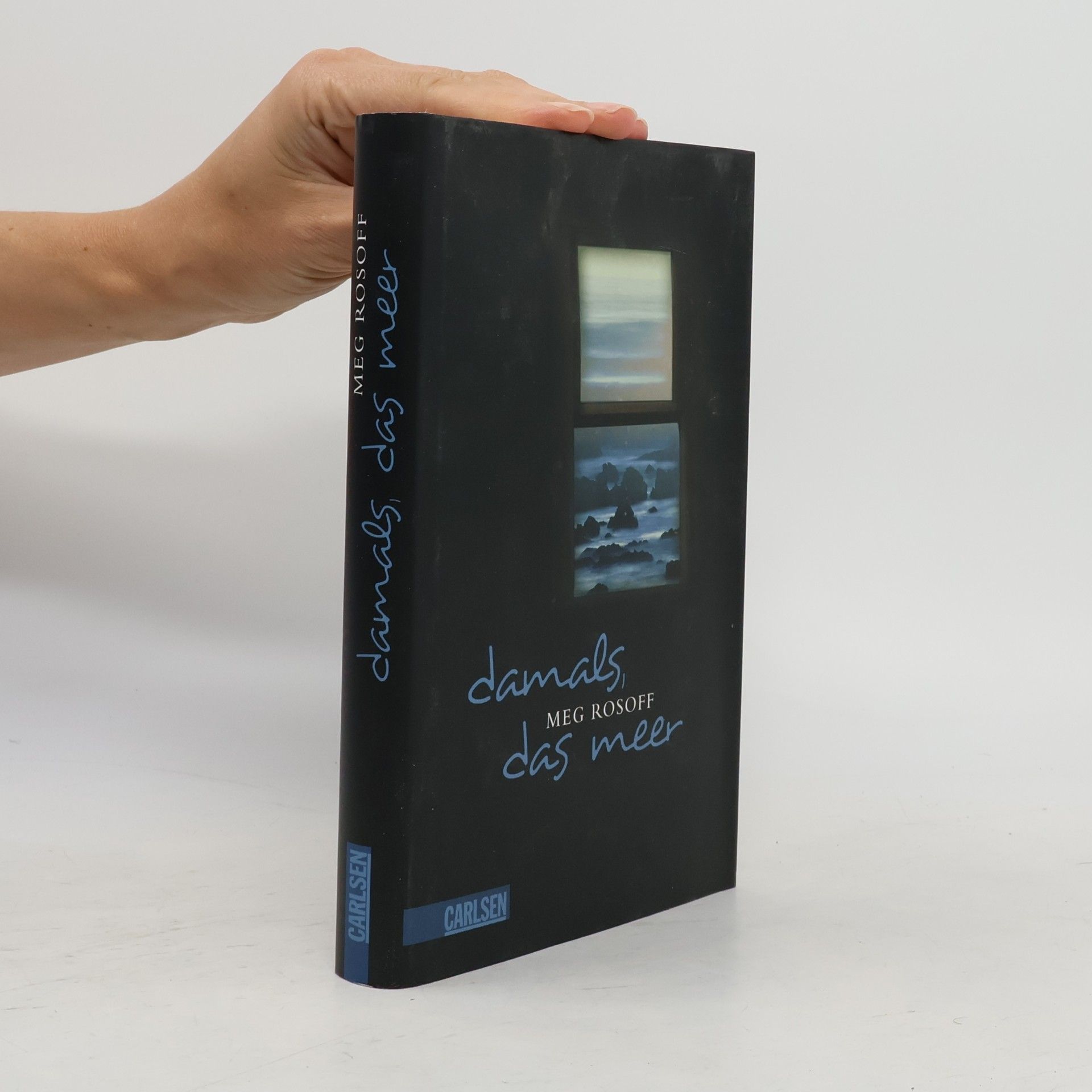 Meg Rosoff Damals, das Meer