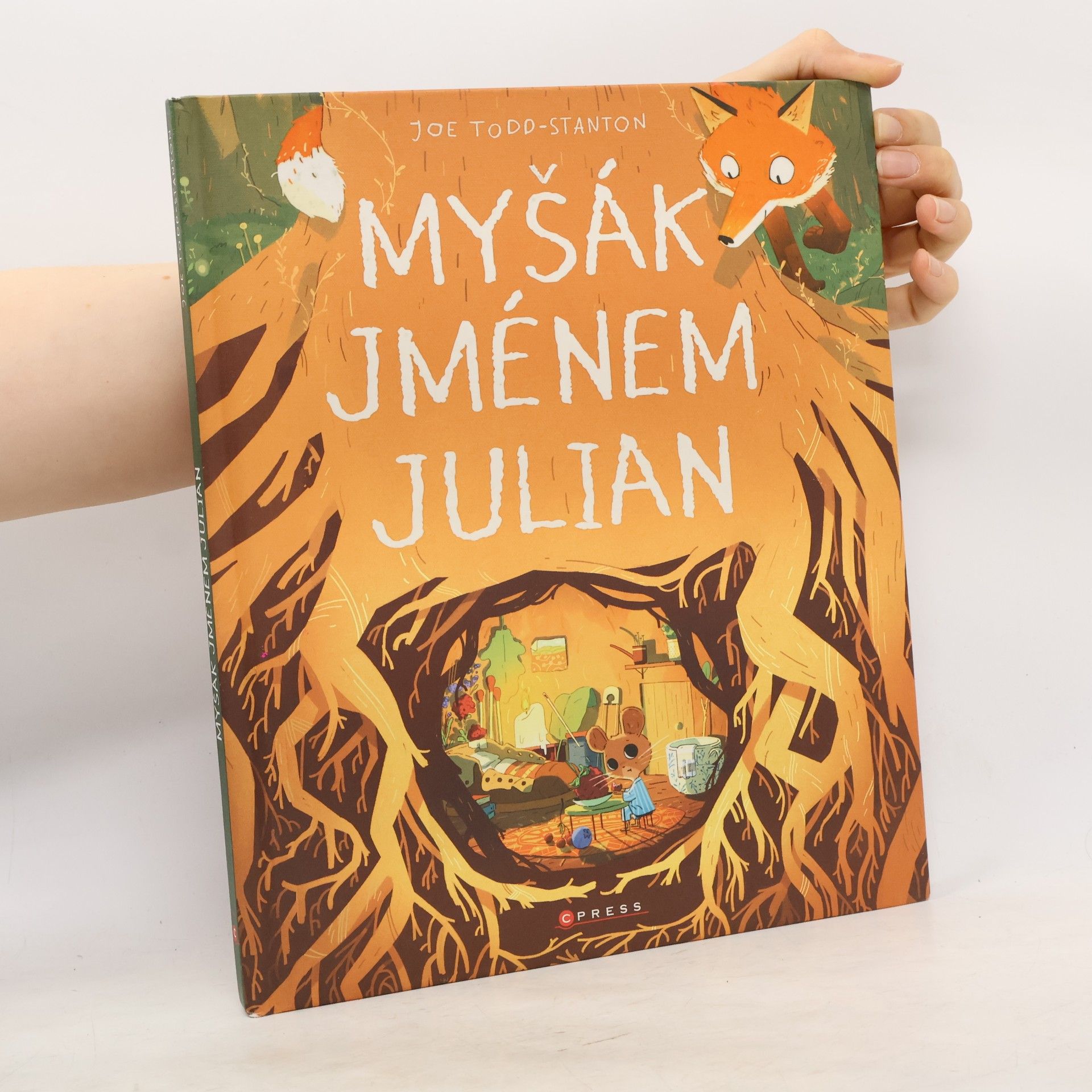 Joe Todd-Stanton Myšák jménem Julian