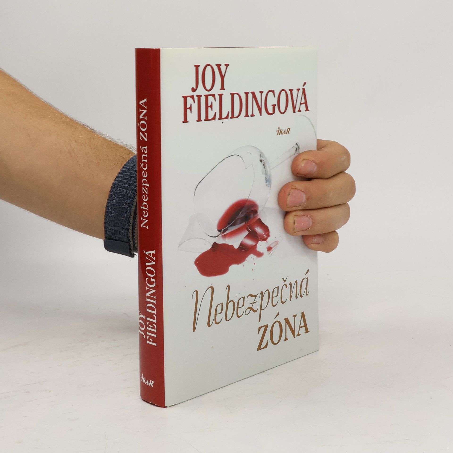 Joy Fielding Nebezpečná zóna