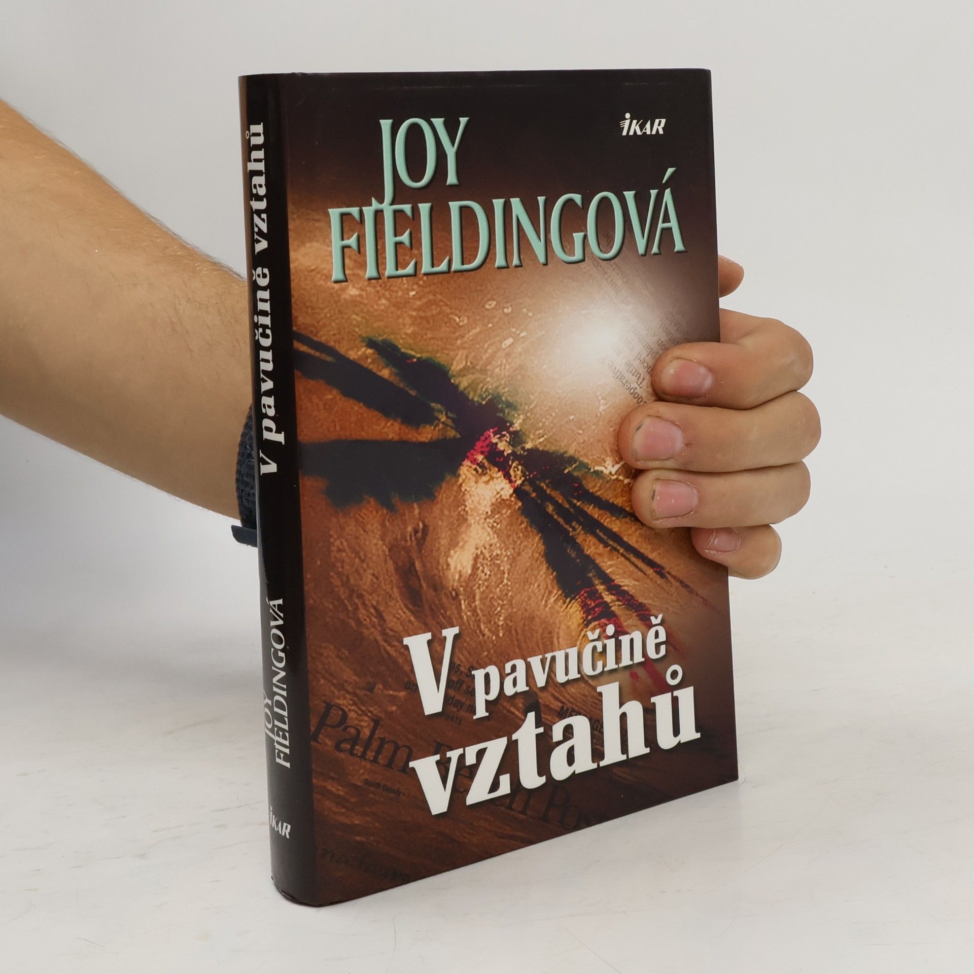 Joy Fielding V pavučině vztahů