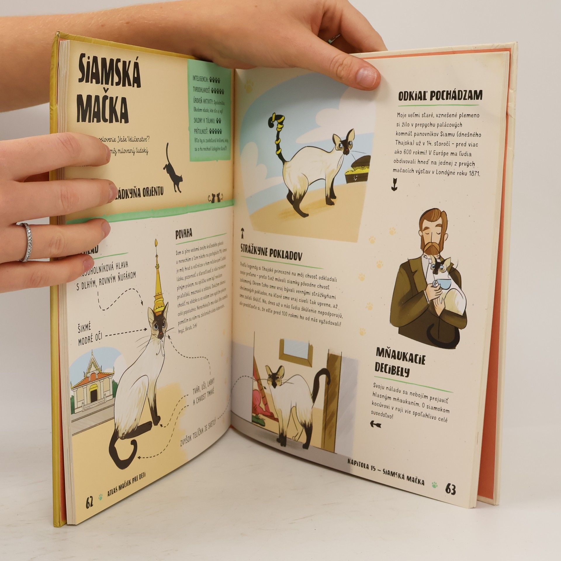 Helena Haraštová Atlas mačiek pre deti
