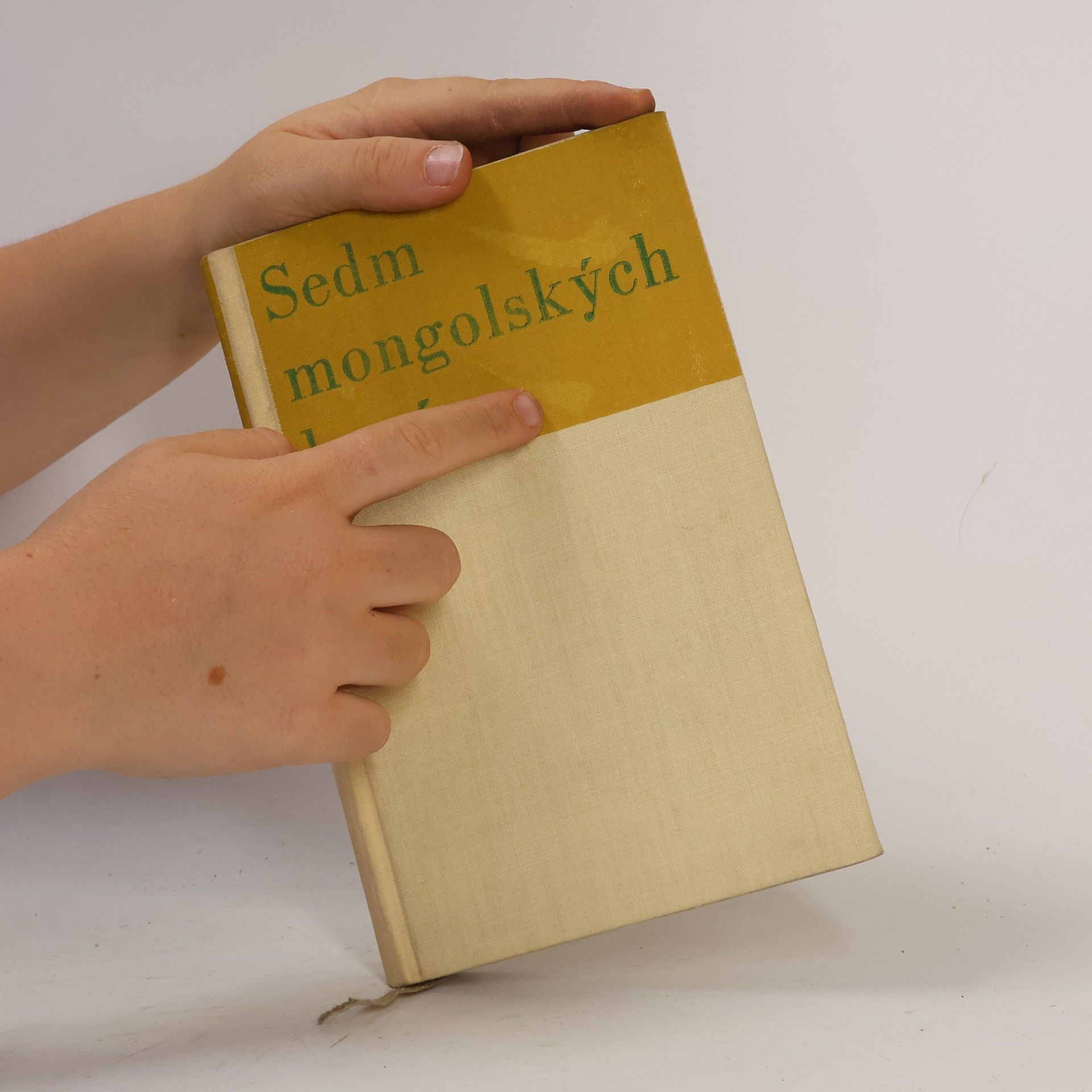 Miloslav Fábera Sedm mongolských koní