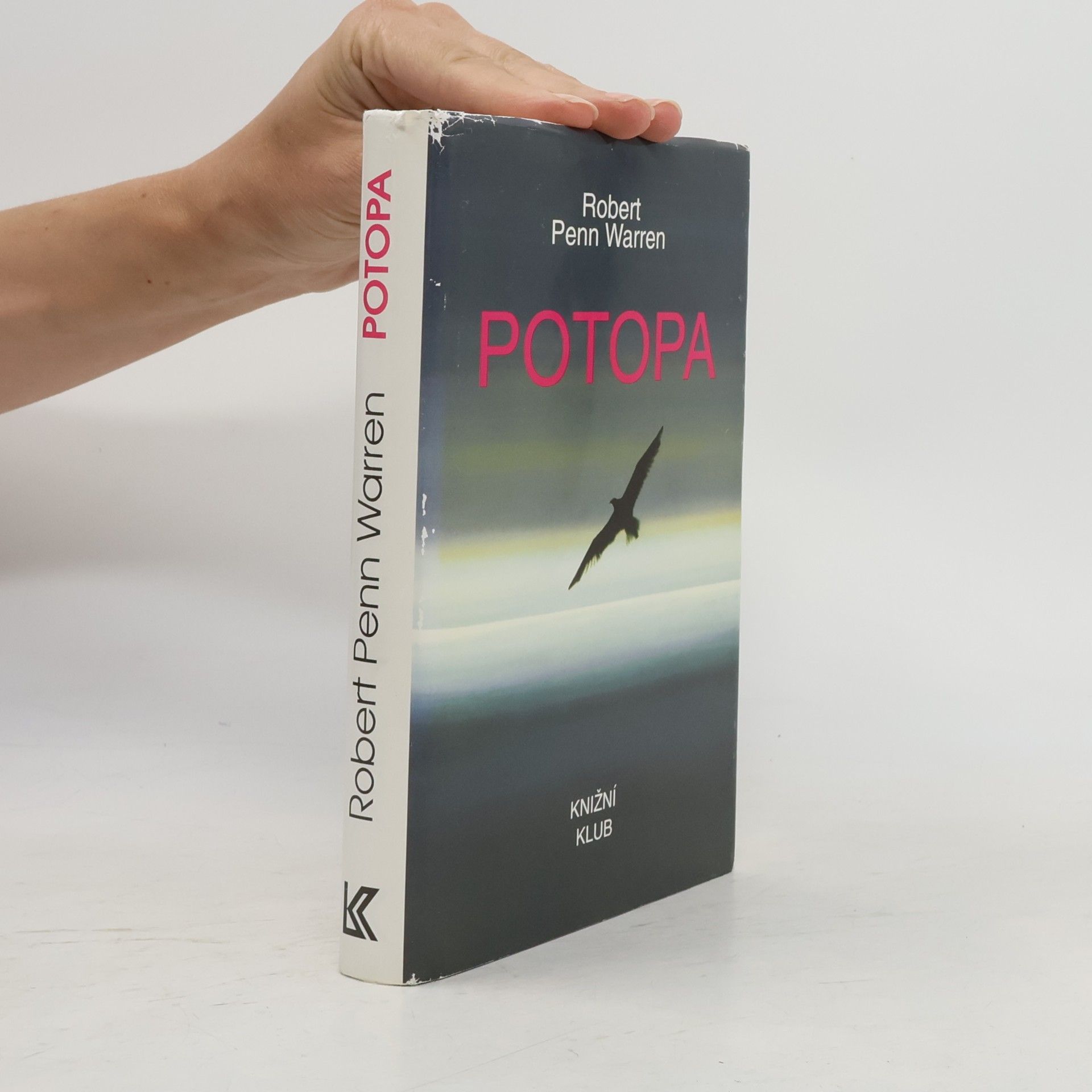 Potopa