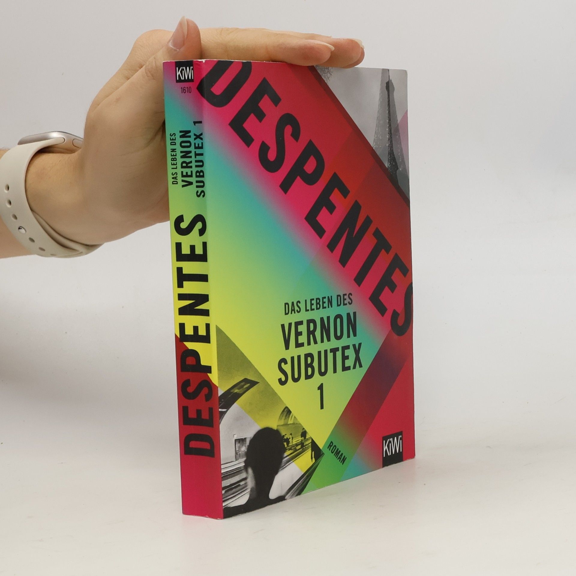 Virginie Despentes Das Leben des Vernon Subutex 1