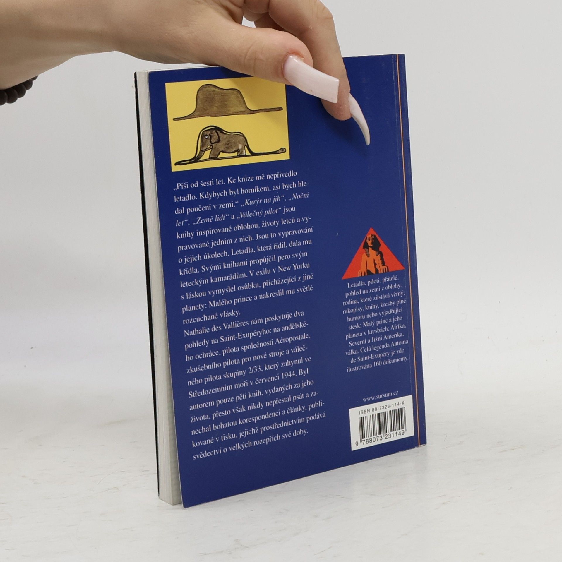 Nathalie Des Vallières Saint-Exupéry : archanděl a spisovatel