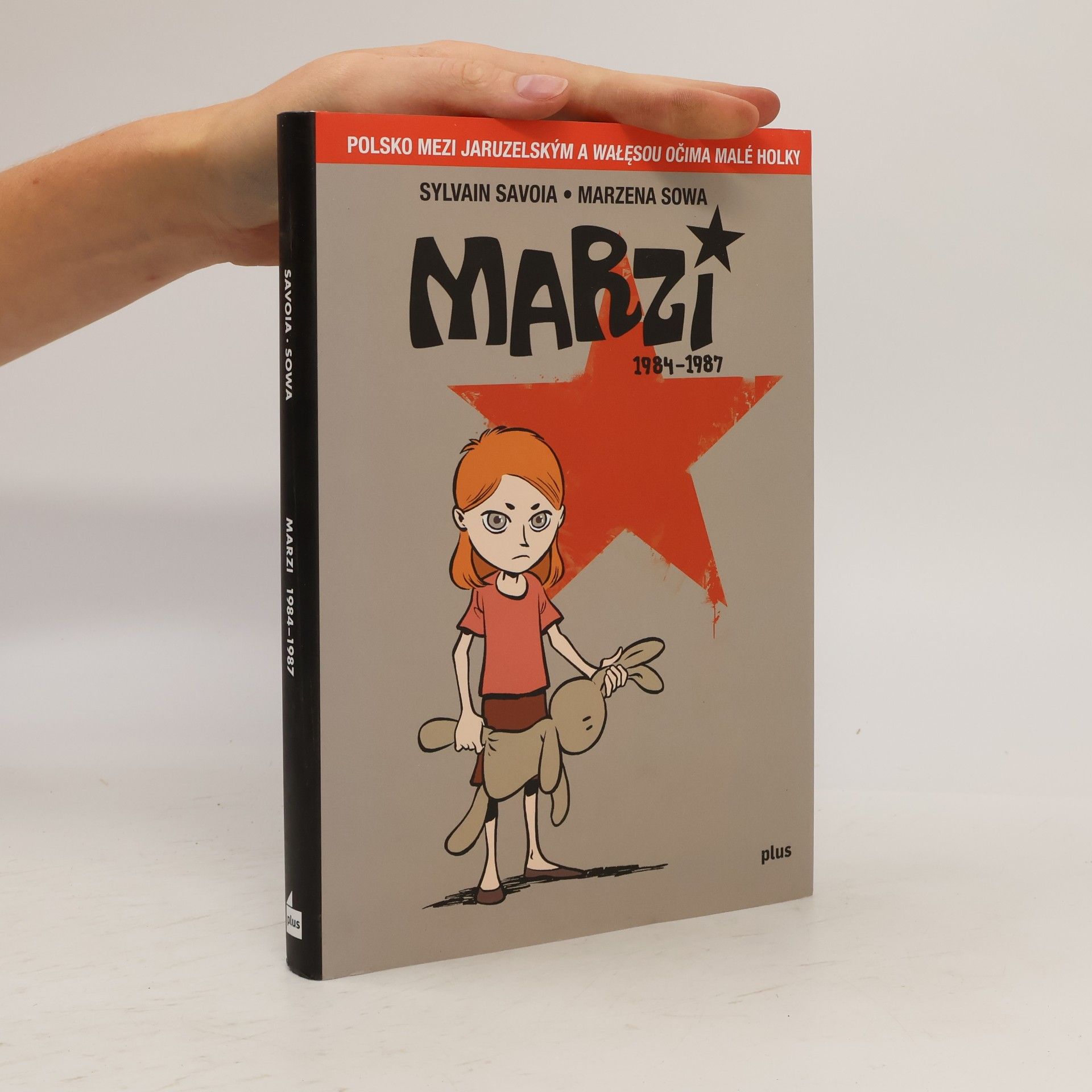 Marzena Sowa Marzi : 1984-1987