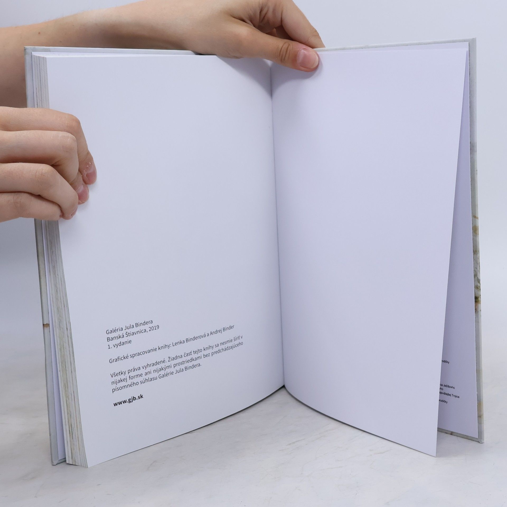 Various authors Svätostánky Slovenska očami Nikolaja Vlasova