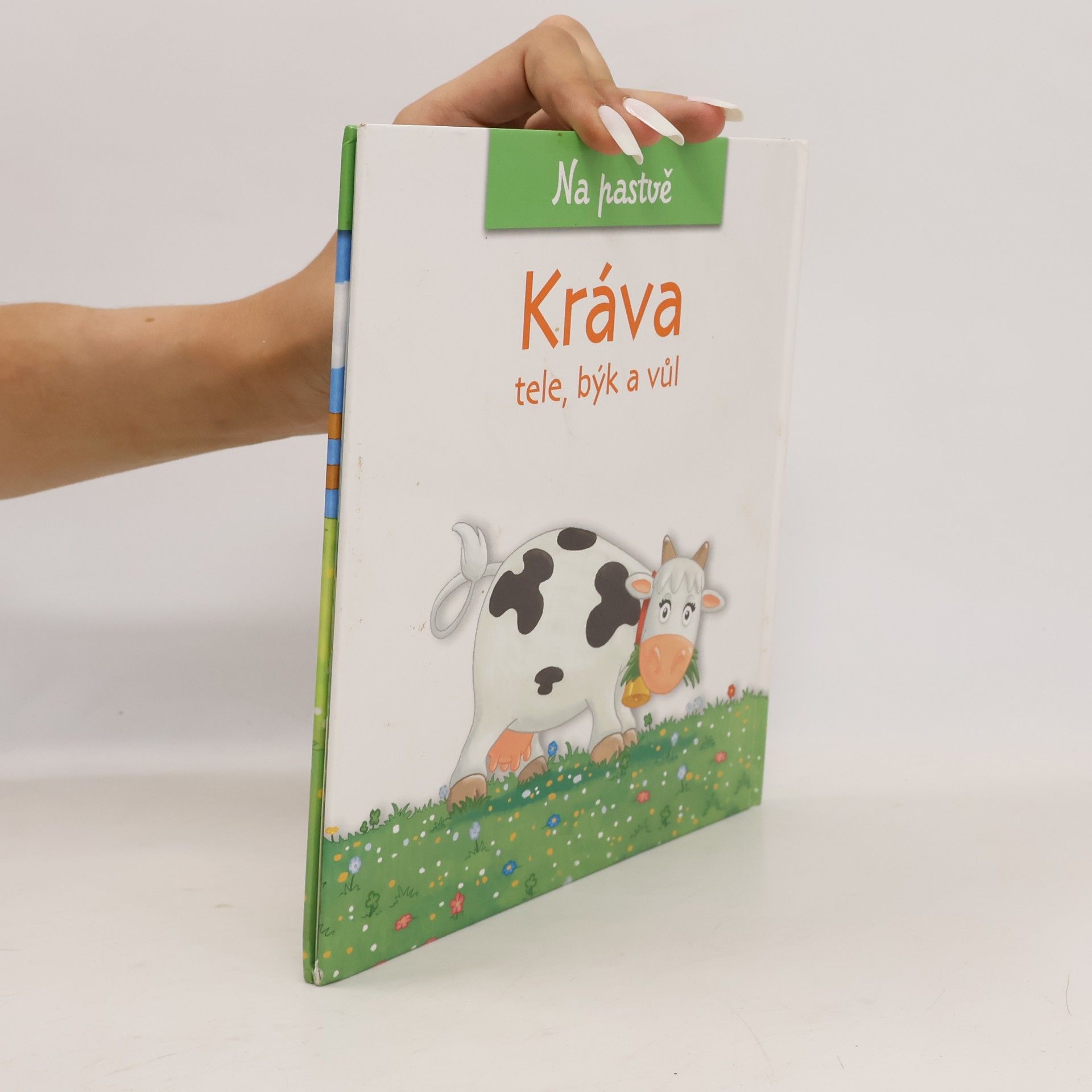 Christine Serbource Kráva, tele, býk a vůl