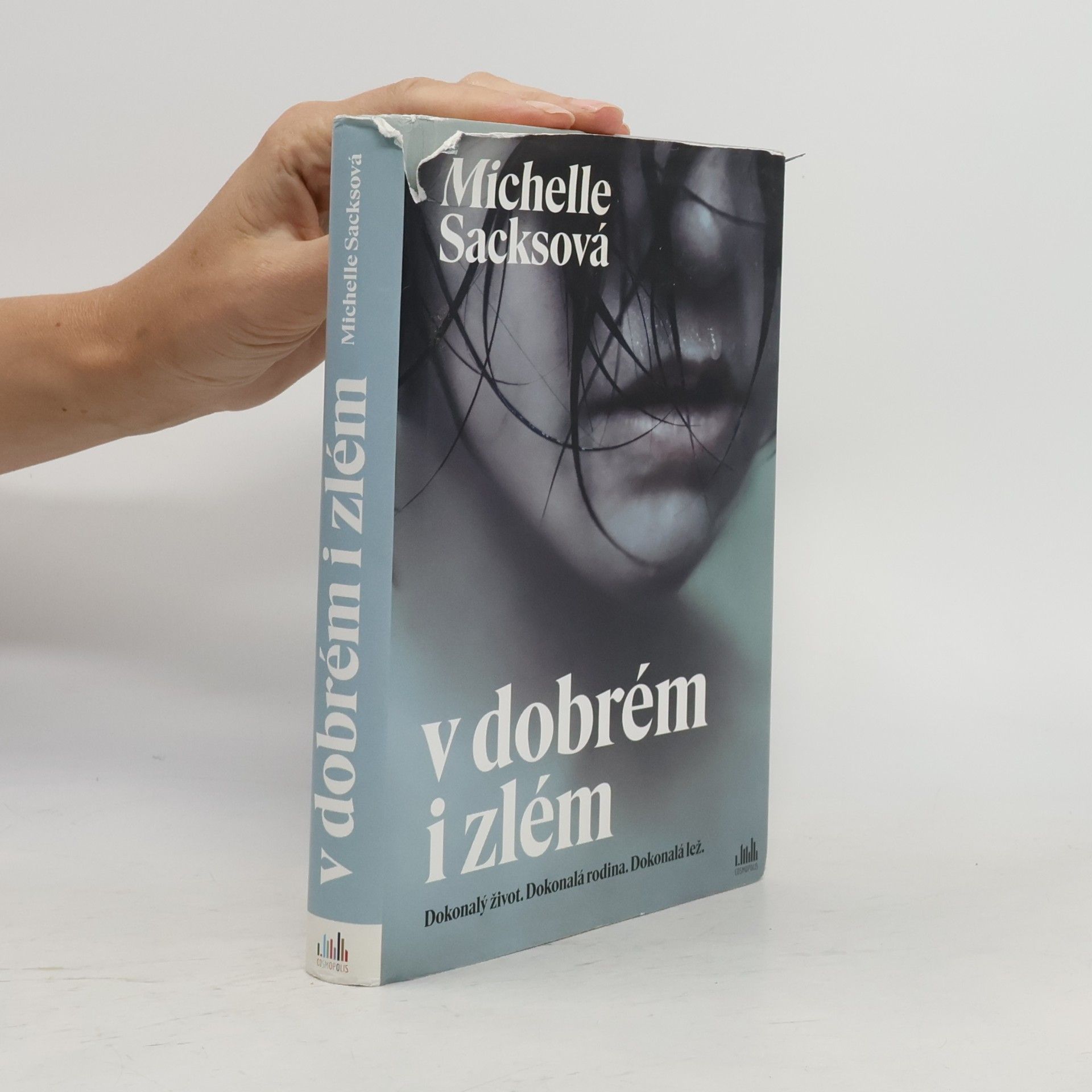 Michelle Sacks V dobrém i zlém