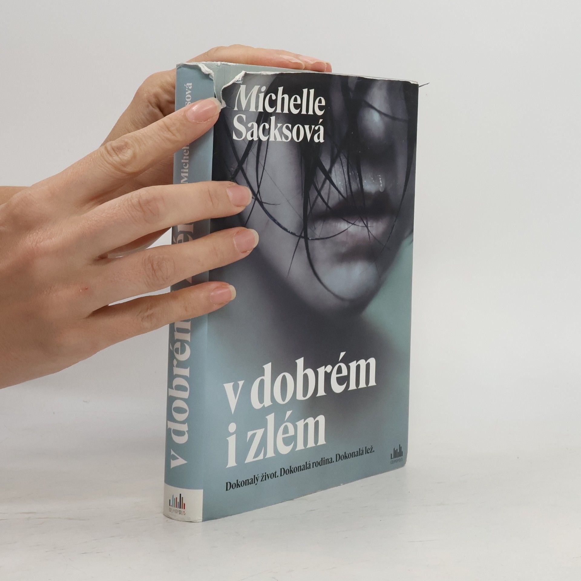 Michelle Sacks V dobrém i zlém