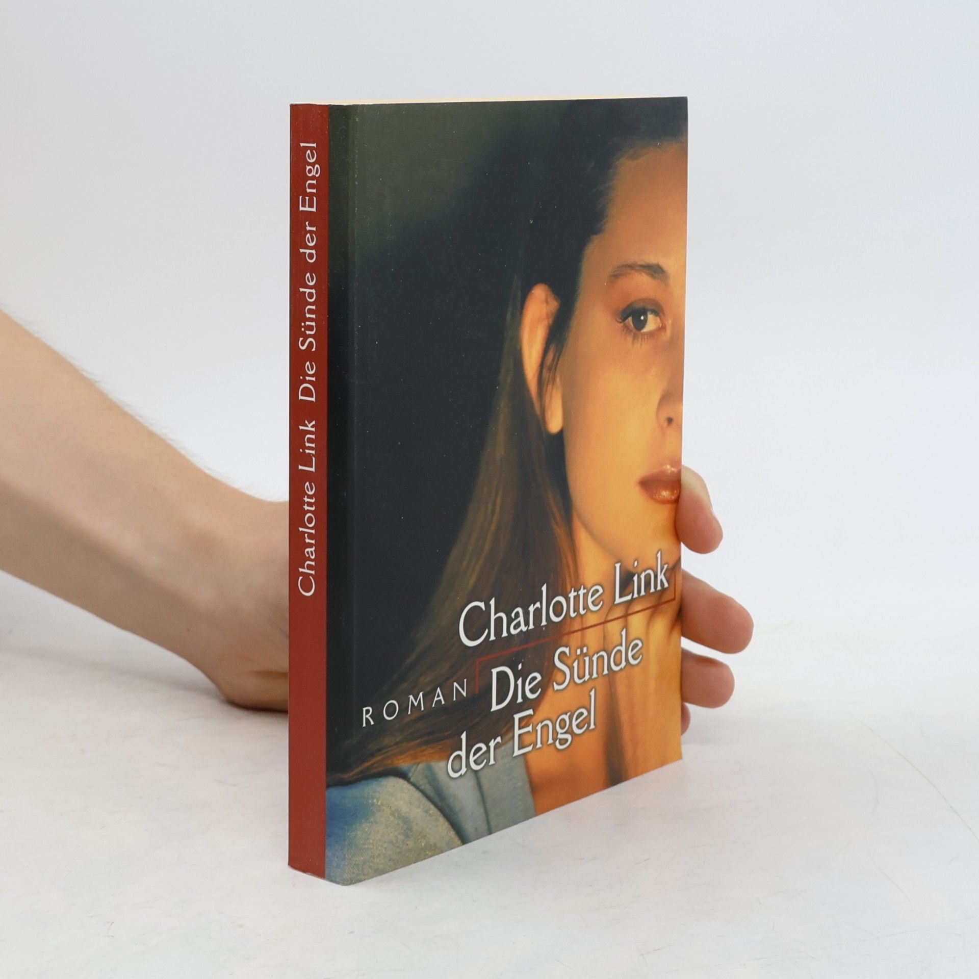 Charlotte Link Die Sünde der Engel