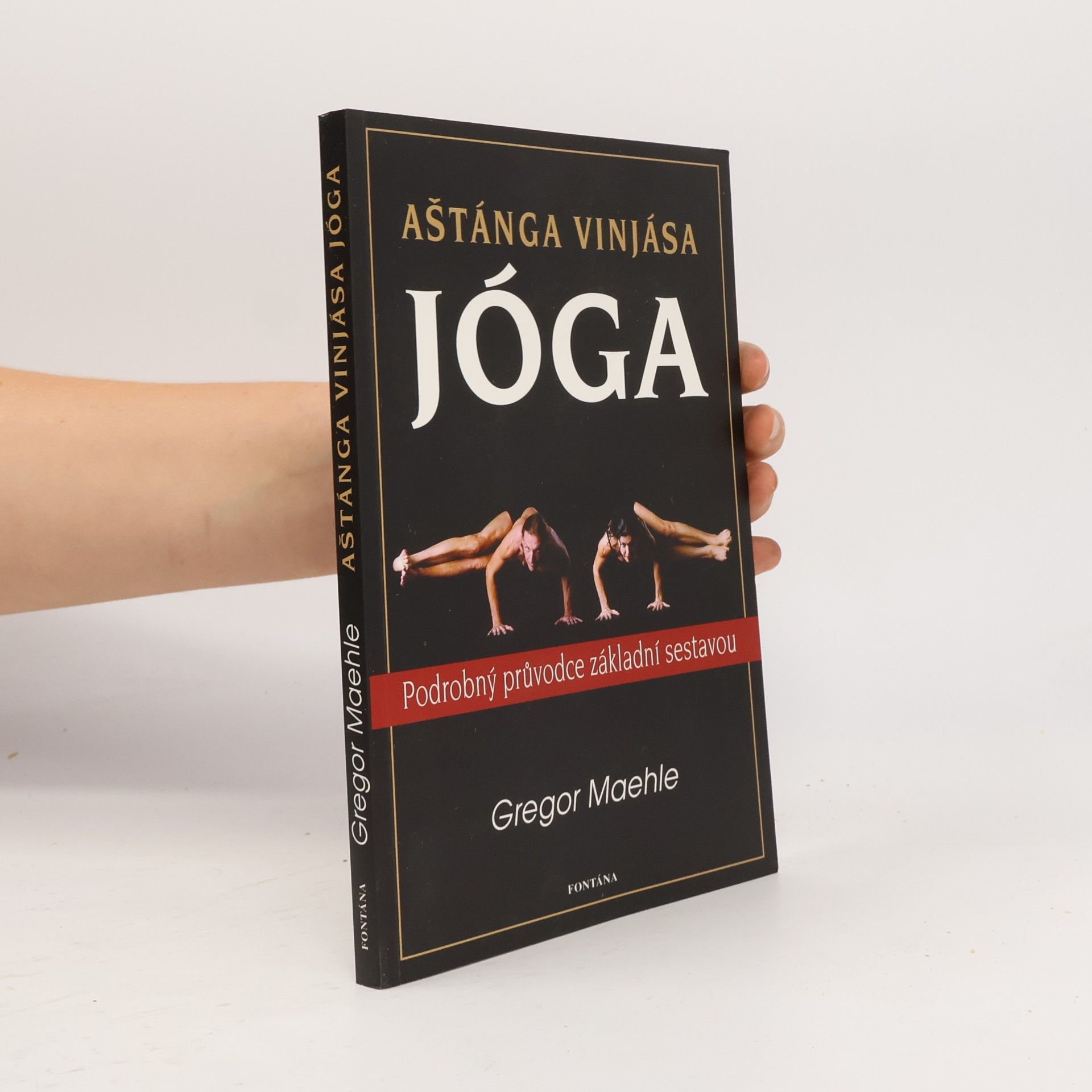 Gregor Maehle Aštánga vinjása jóga