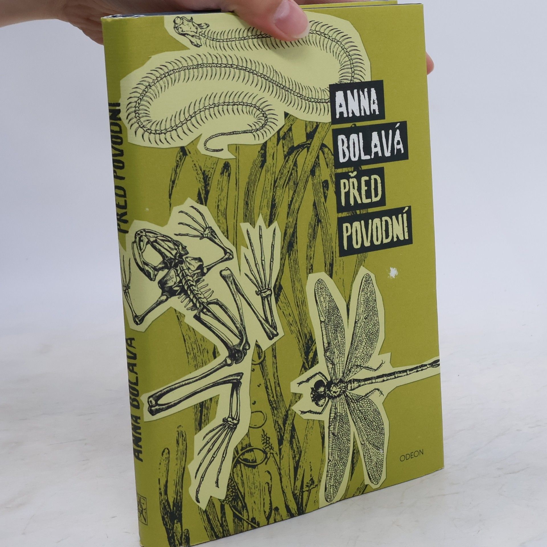 Anna Bolavá Před povodní
