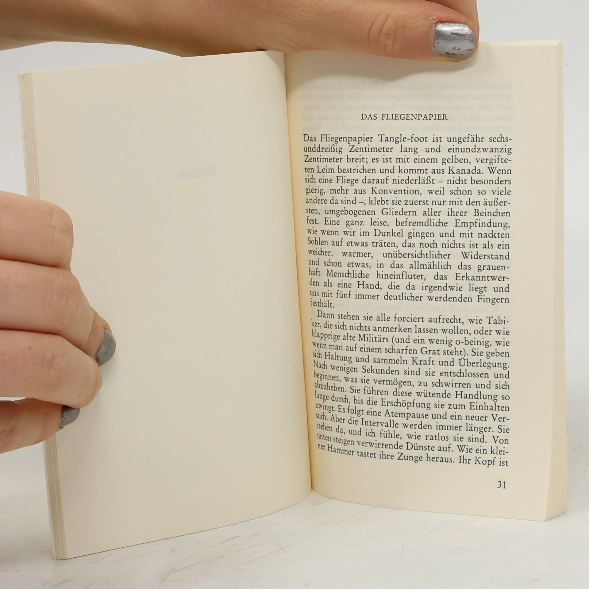 Robert Musil Die Amsel
