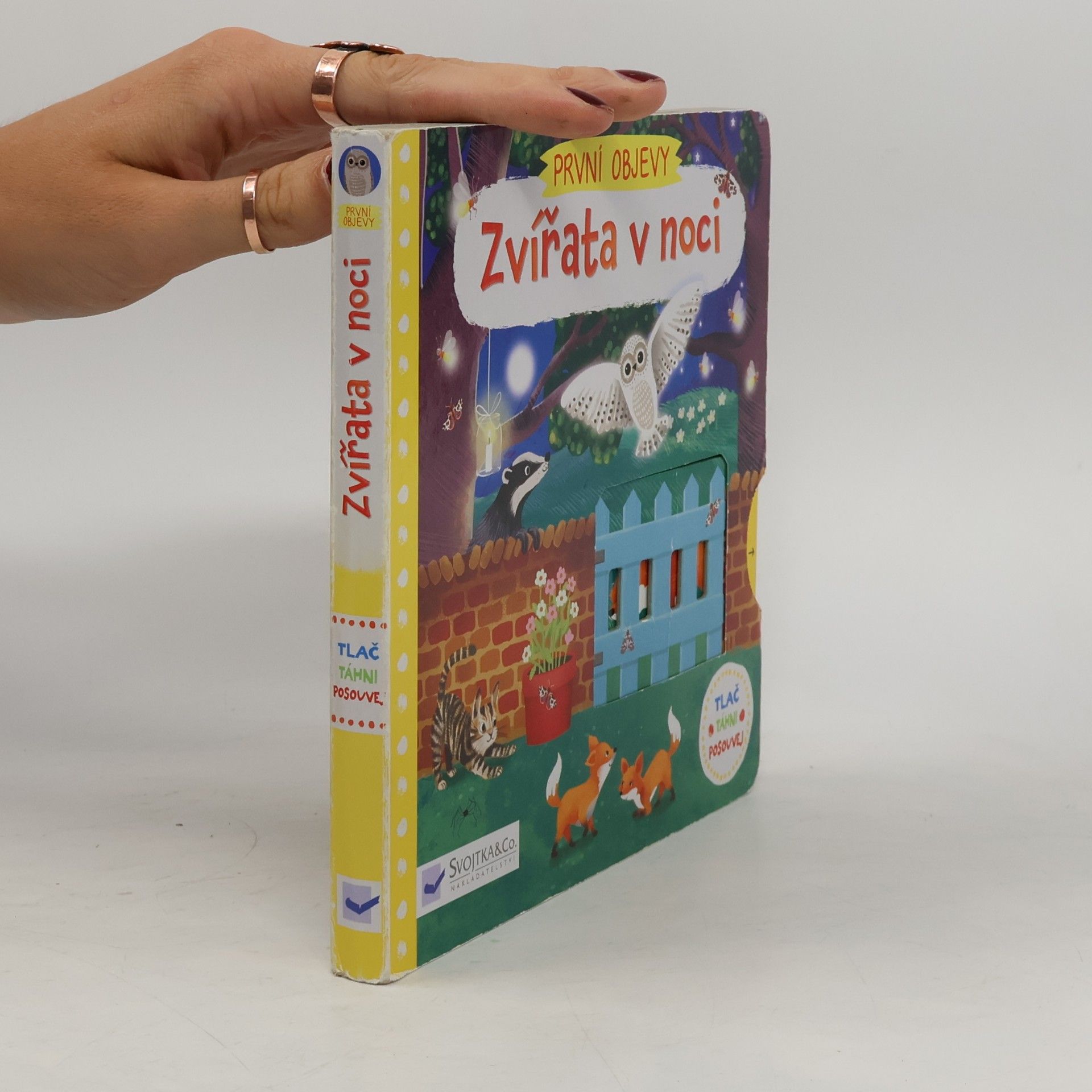 Jenny Wren První objevy: Zvířata v noci