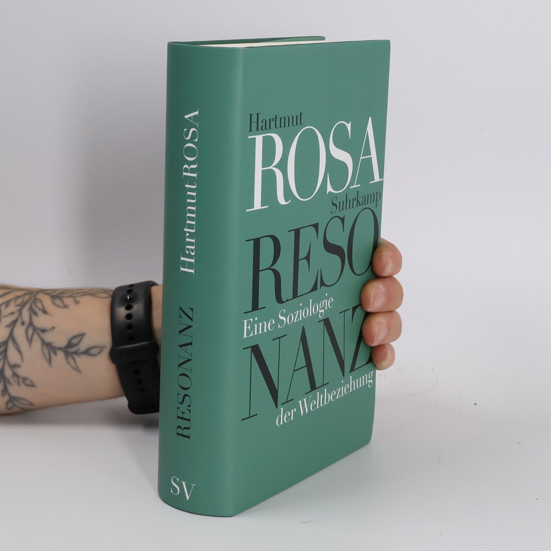 Hartmut Rosa Resonanz