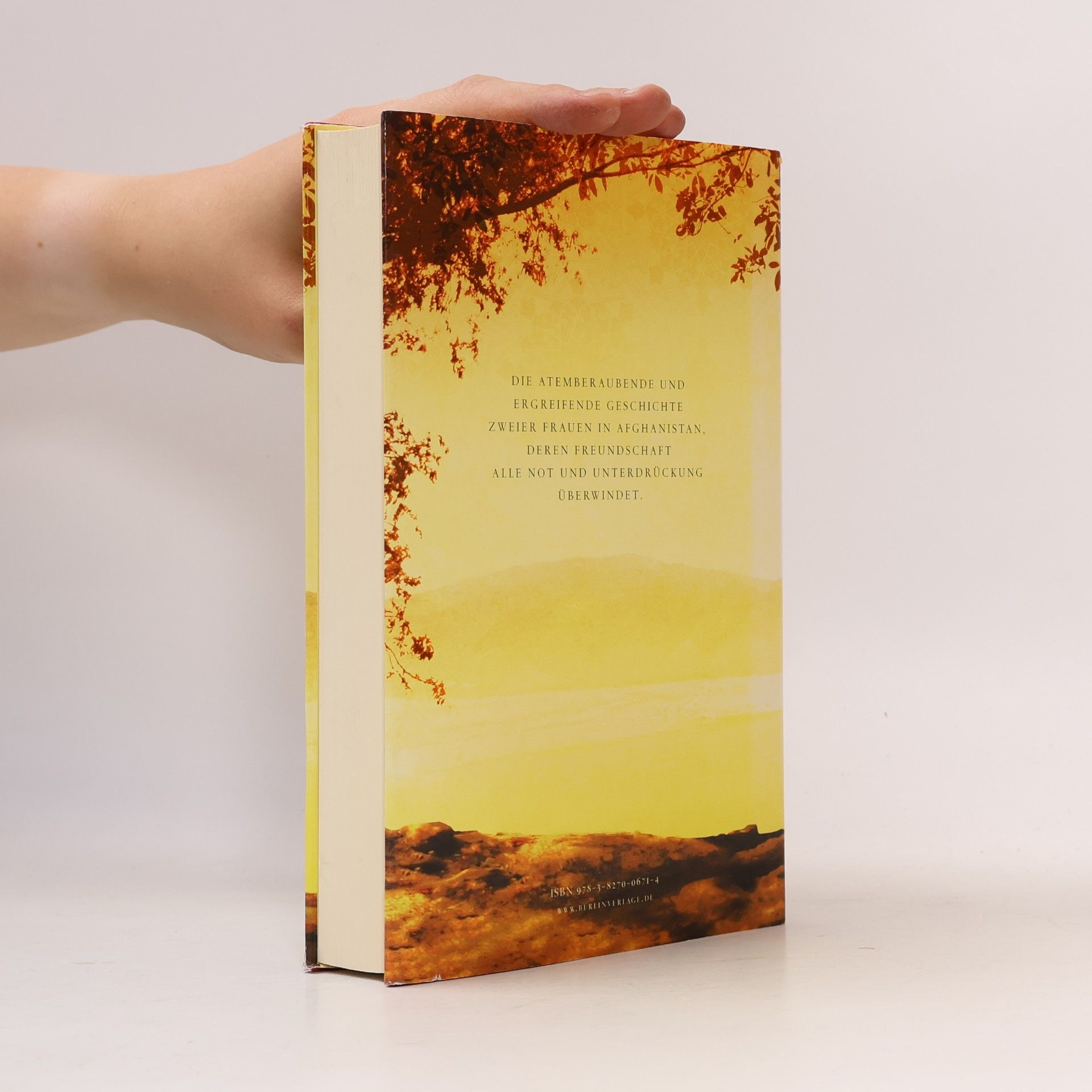 Khaled Hosseini Tausend strahlende Sonnen