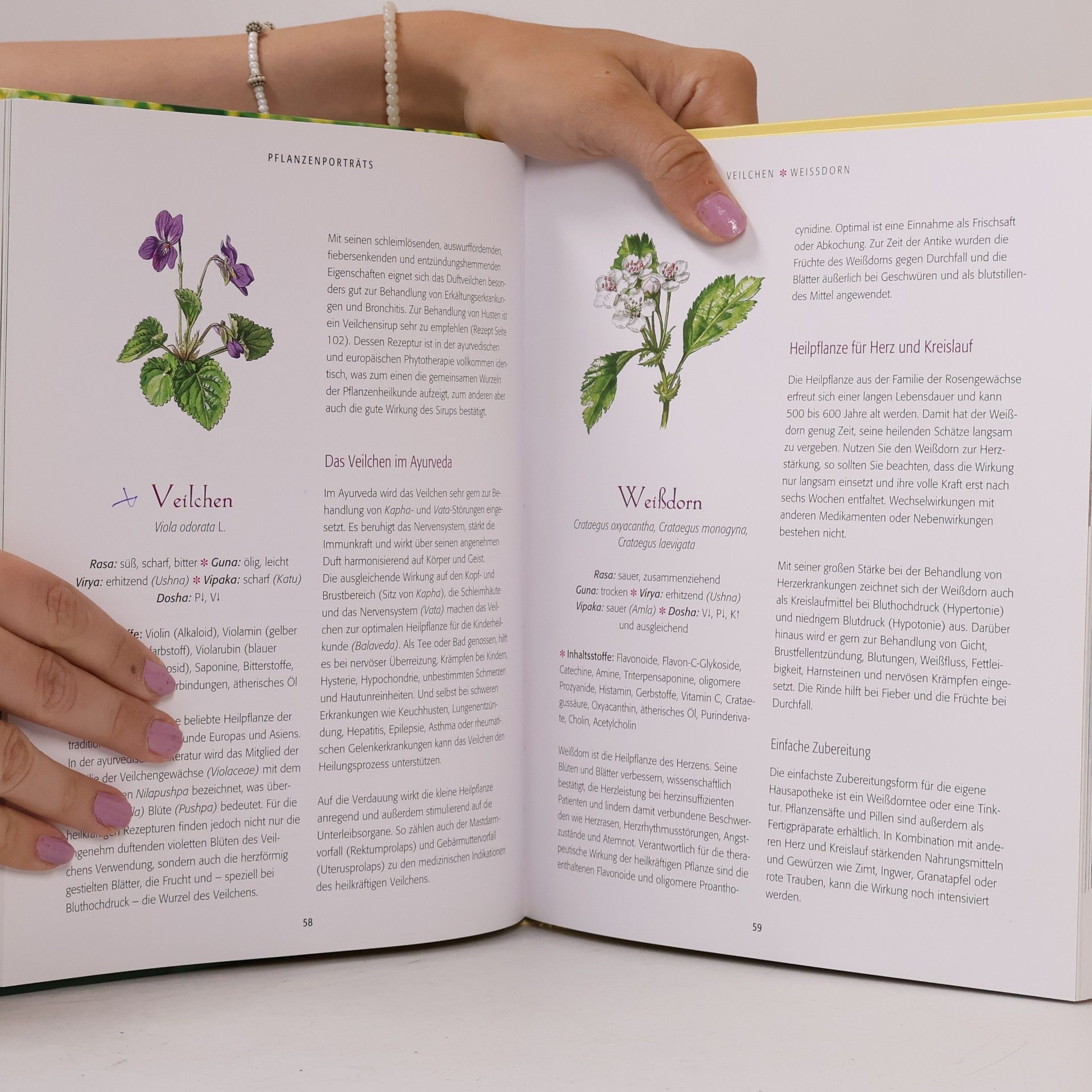 Kerstin Rosenberg Ayurveda mit heimischen Pflanzen