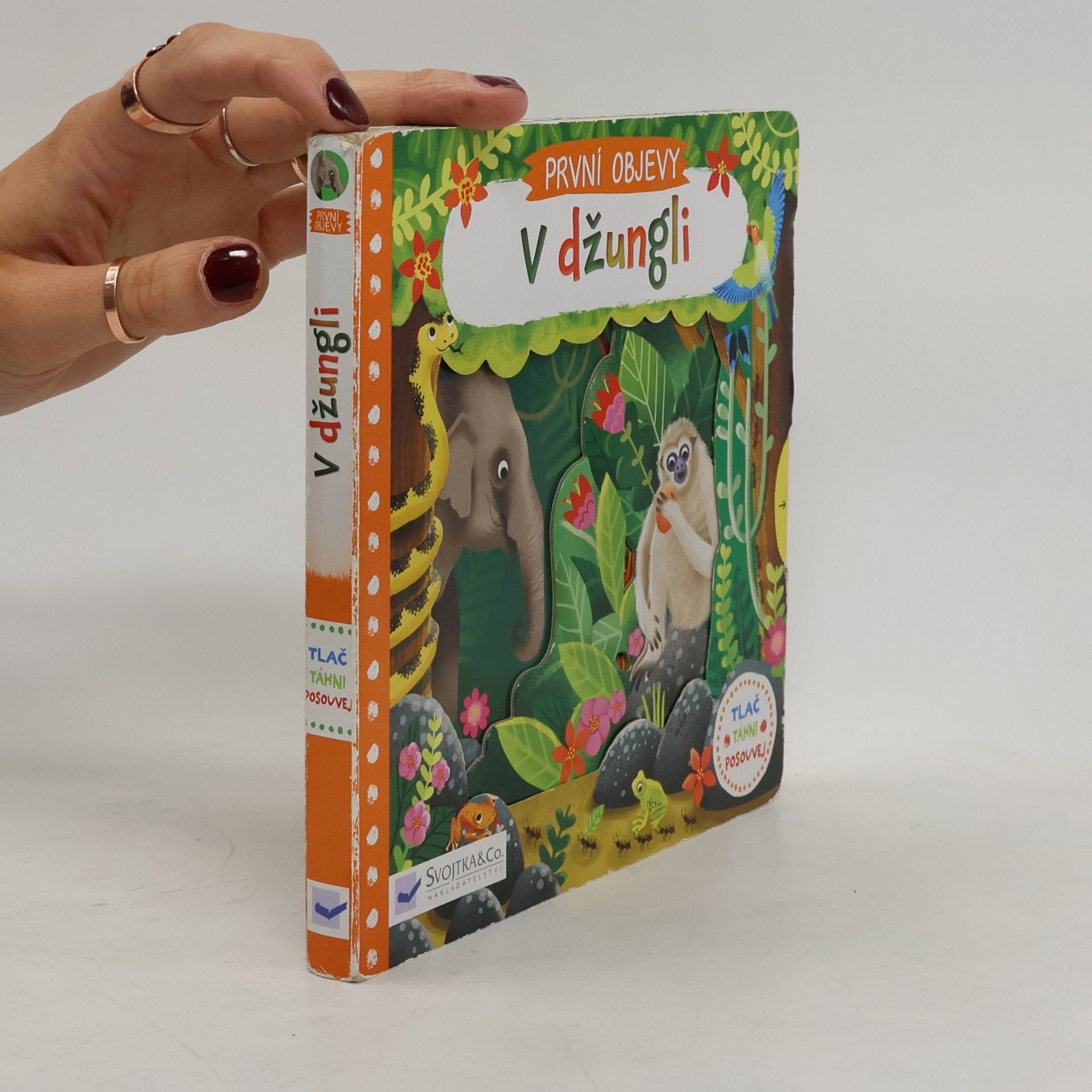 Jenny Wren První objevy: V džungli