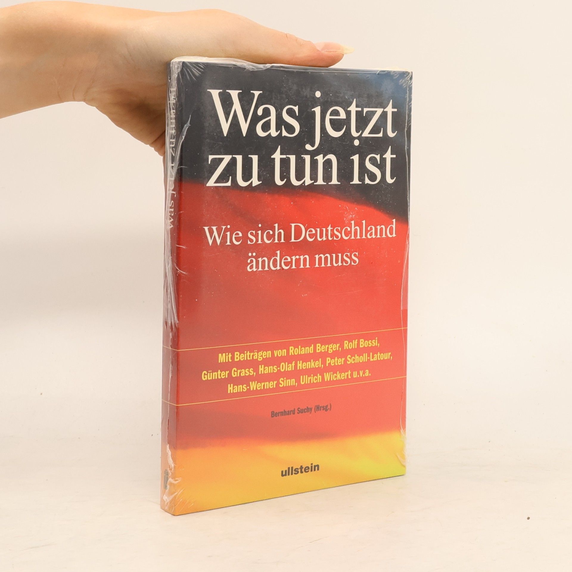 Bernhard Suchy Was jetzt zu tun ist