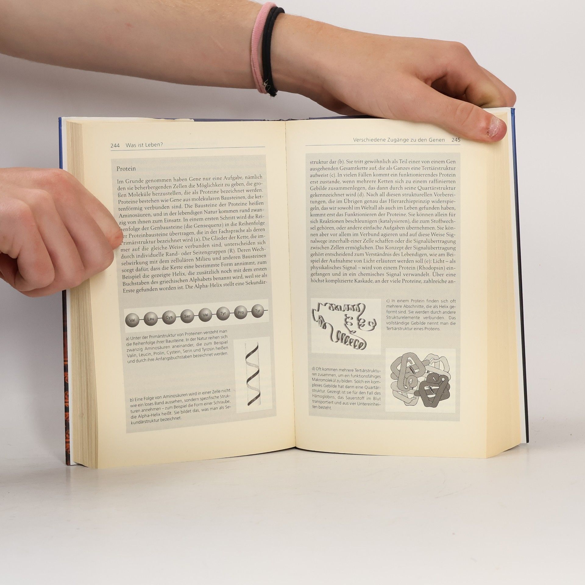 Ernst Peter Fischer Die andere Bildung. Was man von den Naturwissenschaften wissen sollte