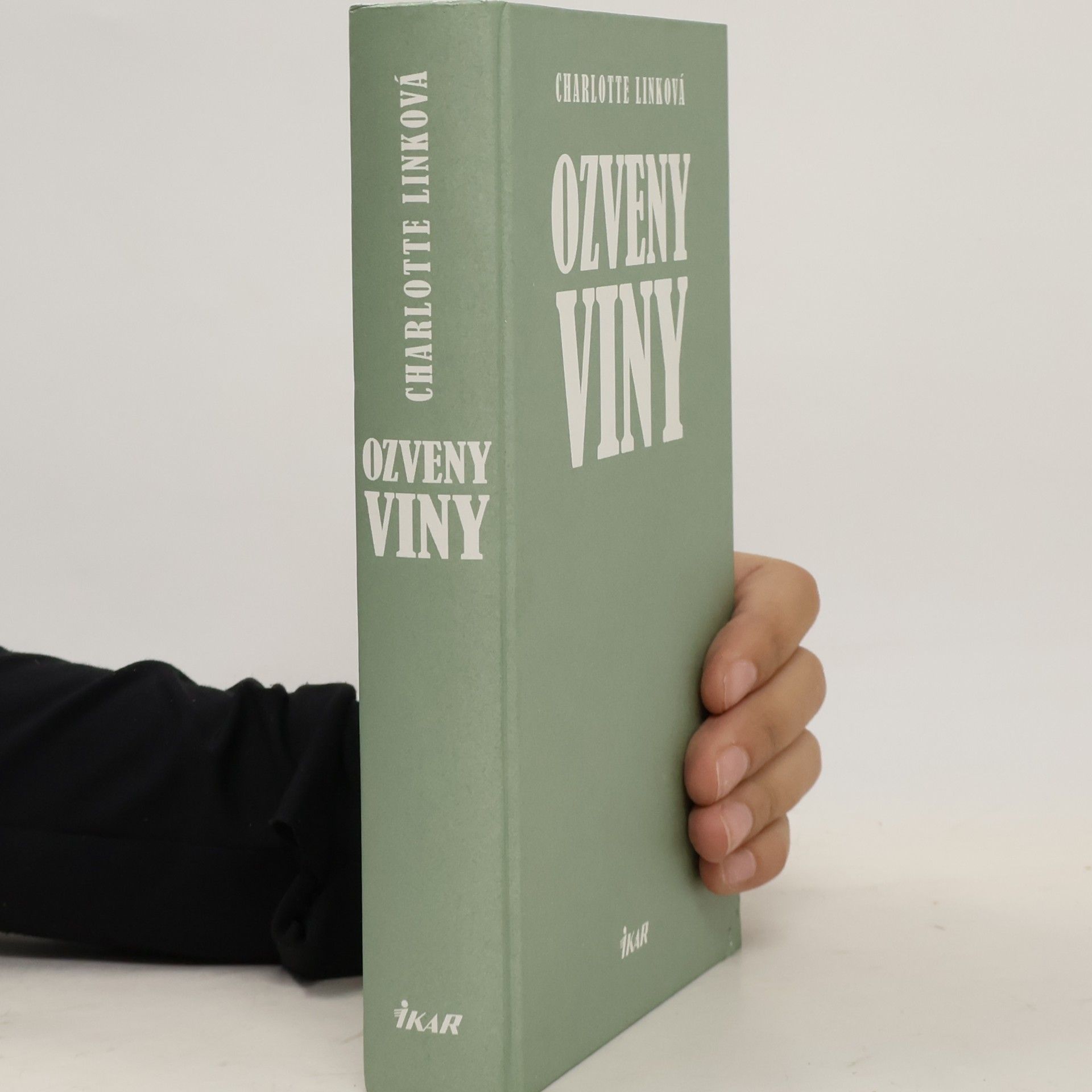 Charlotte Link Ozveny viny