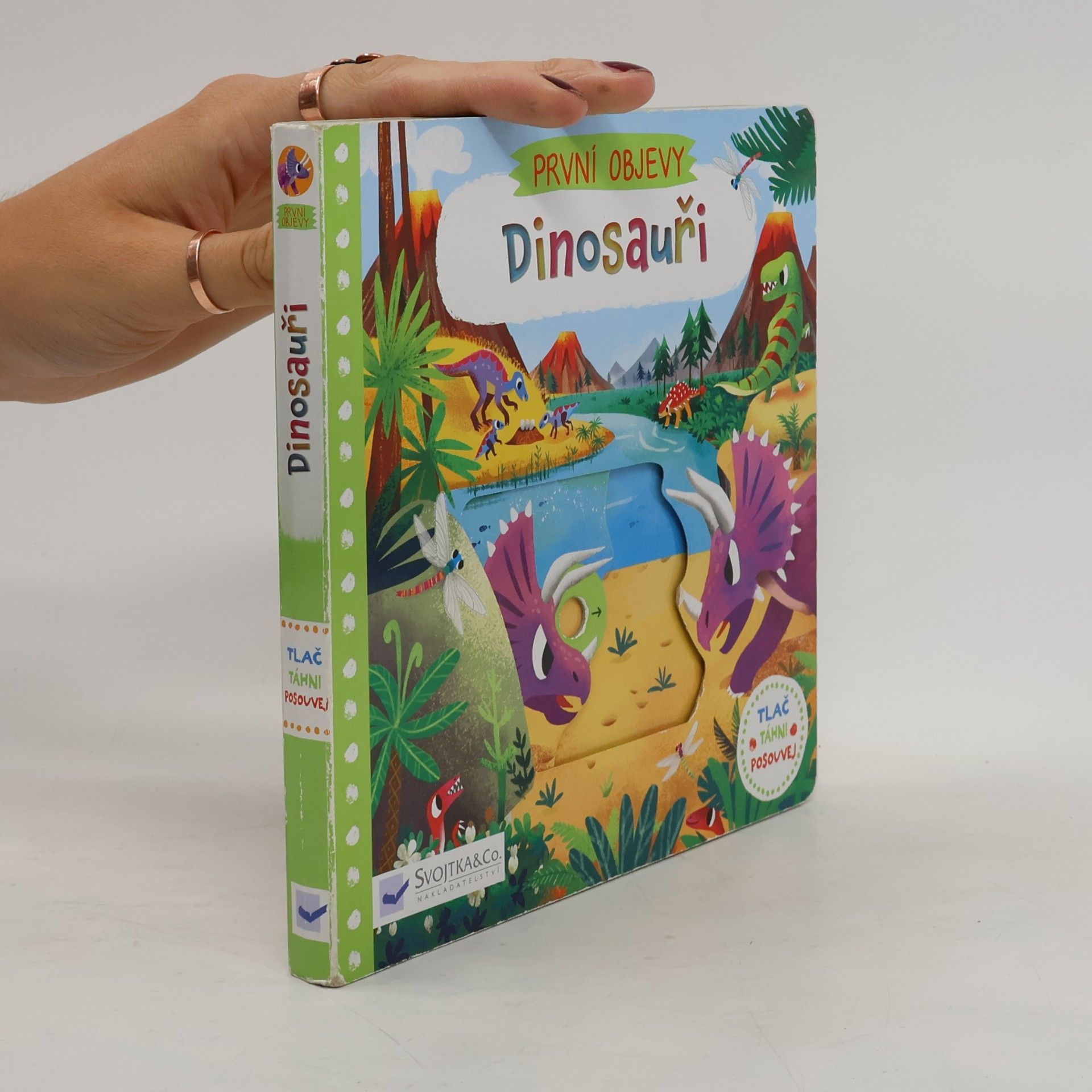 Chorkung Dinosauři