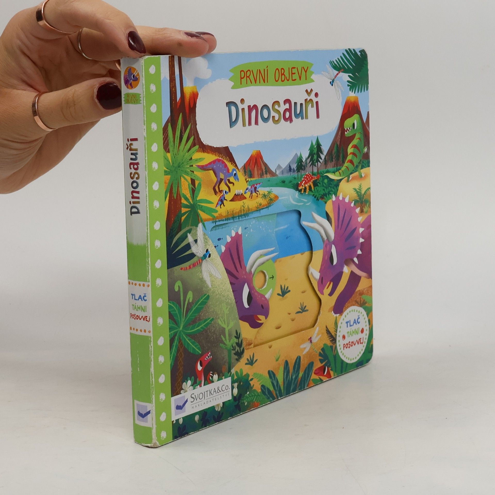 Chorkung Dinosauři