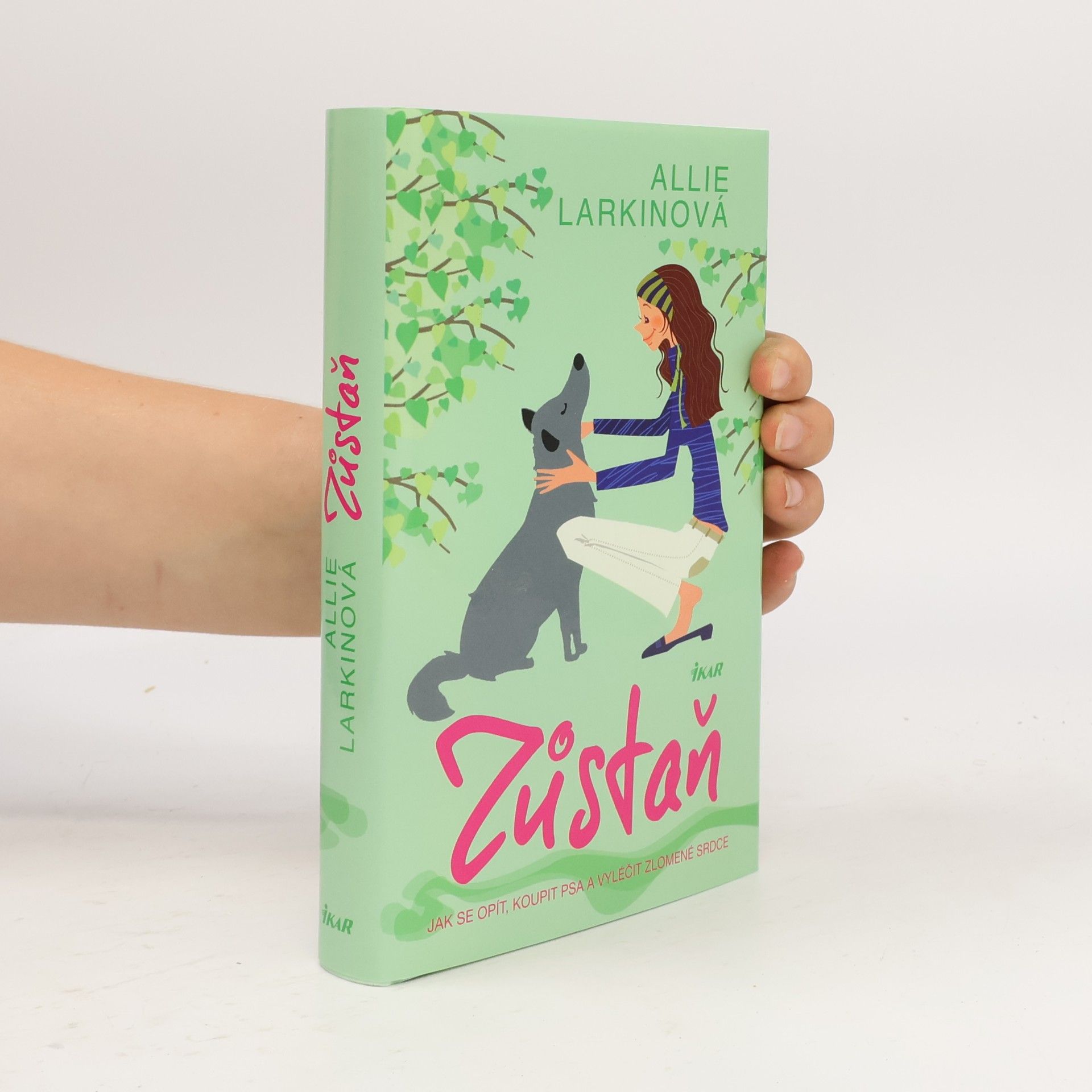 Allie Larkin Zůstaň. Jak se opít, koupit psa a vyléčit zlomené srdce