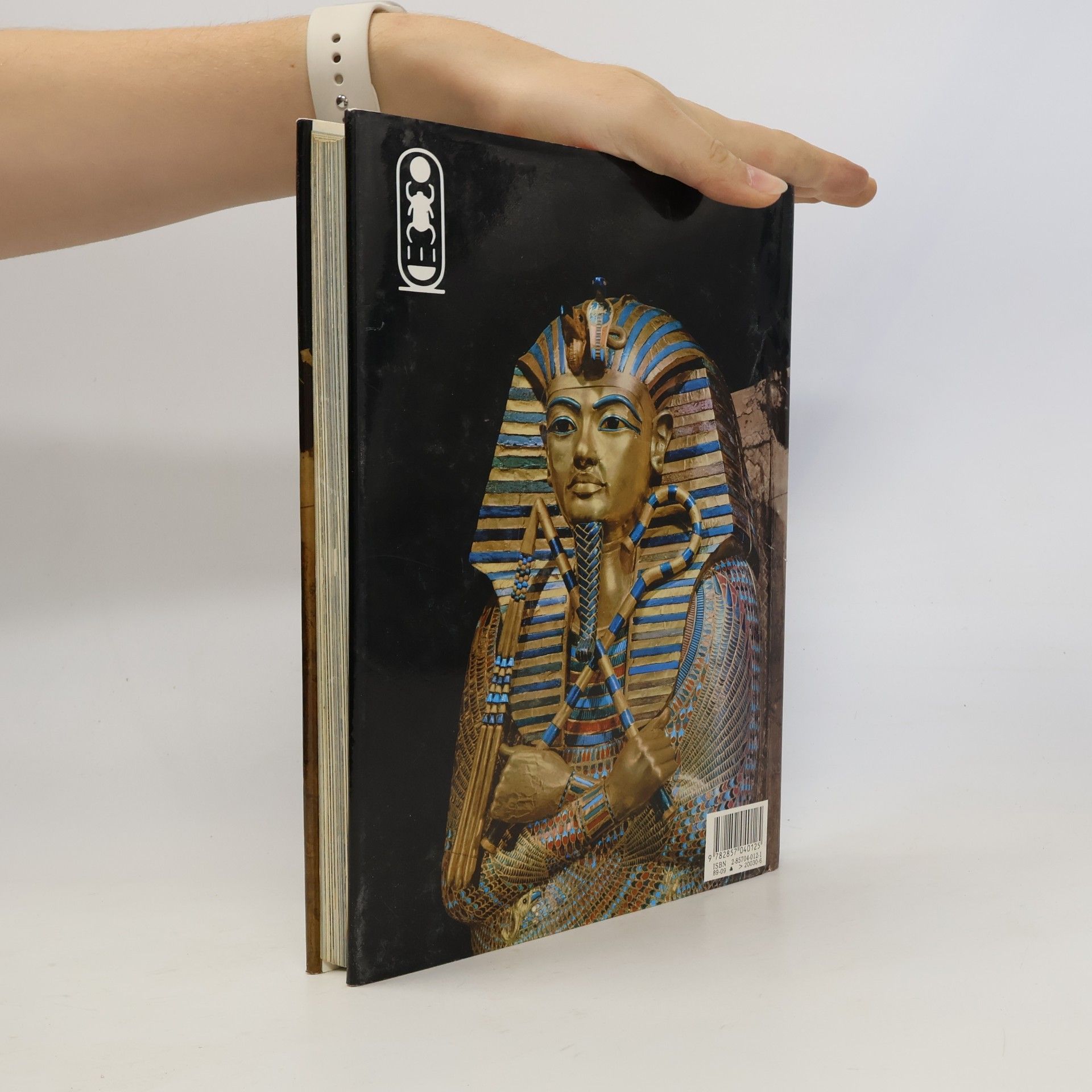 Autorenkollektiv Toutankhamon
