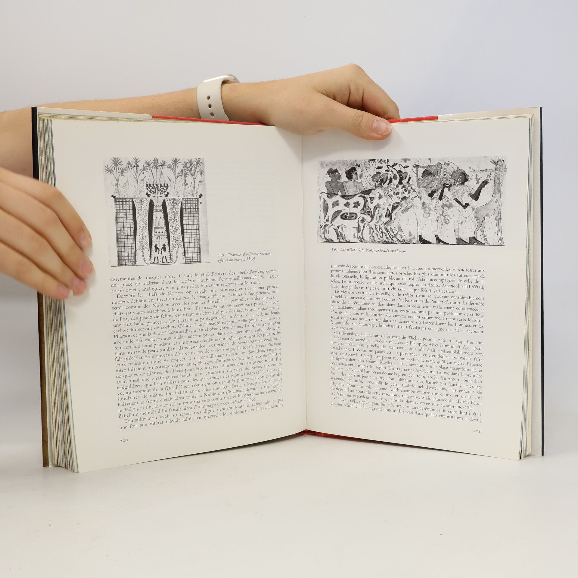 Autorenkollektiv Toutankhamon