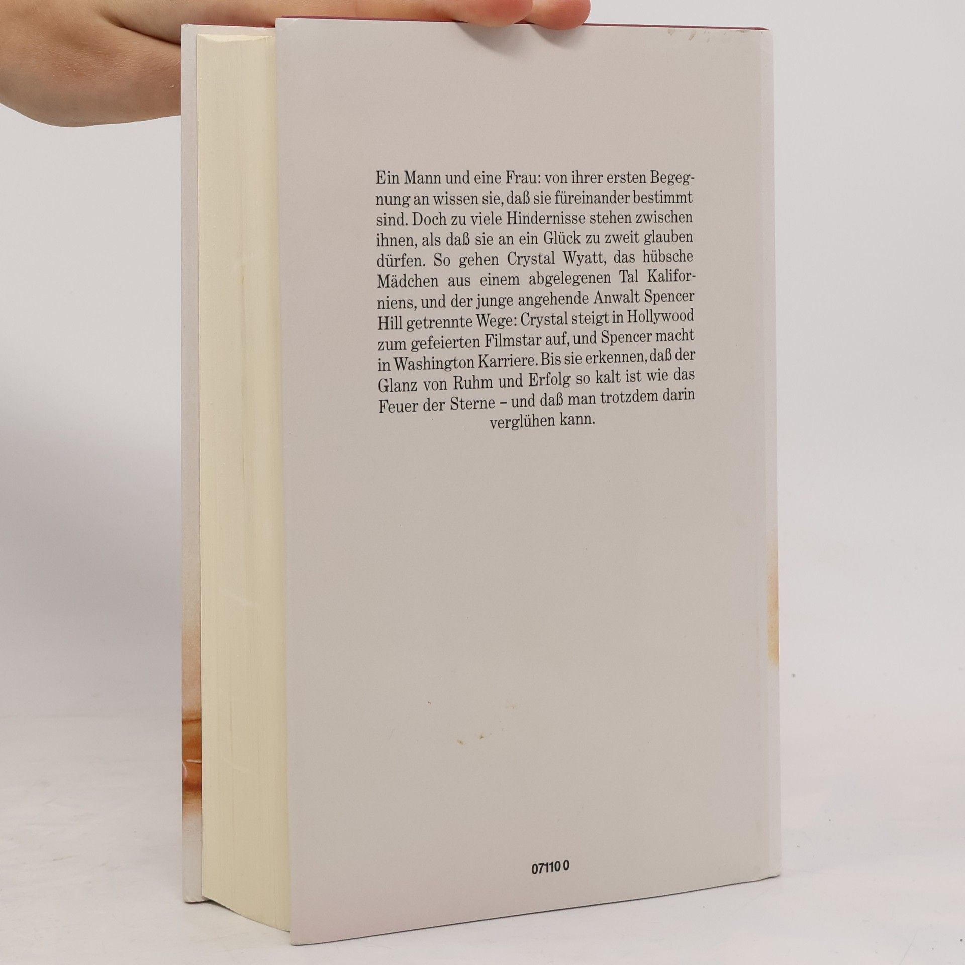 Danielle Steel Sternenfeuer