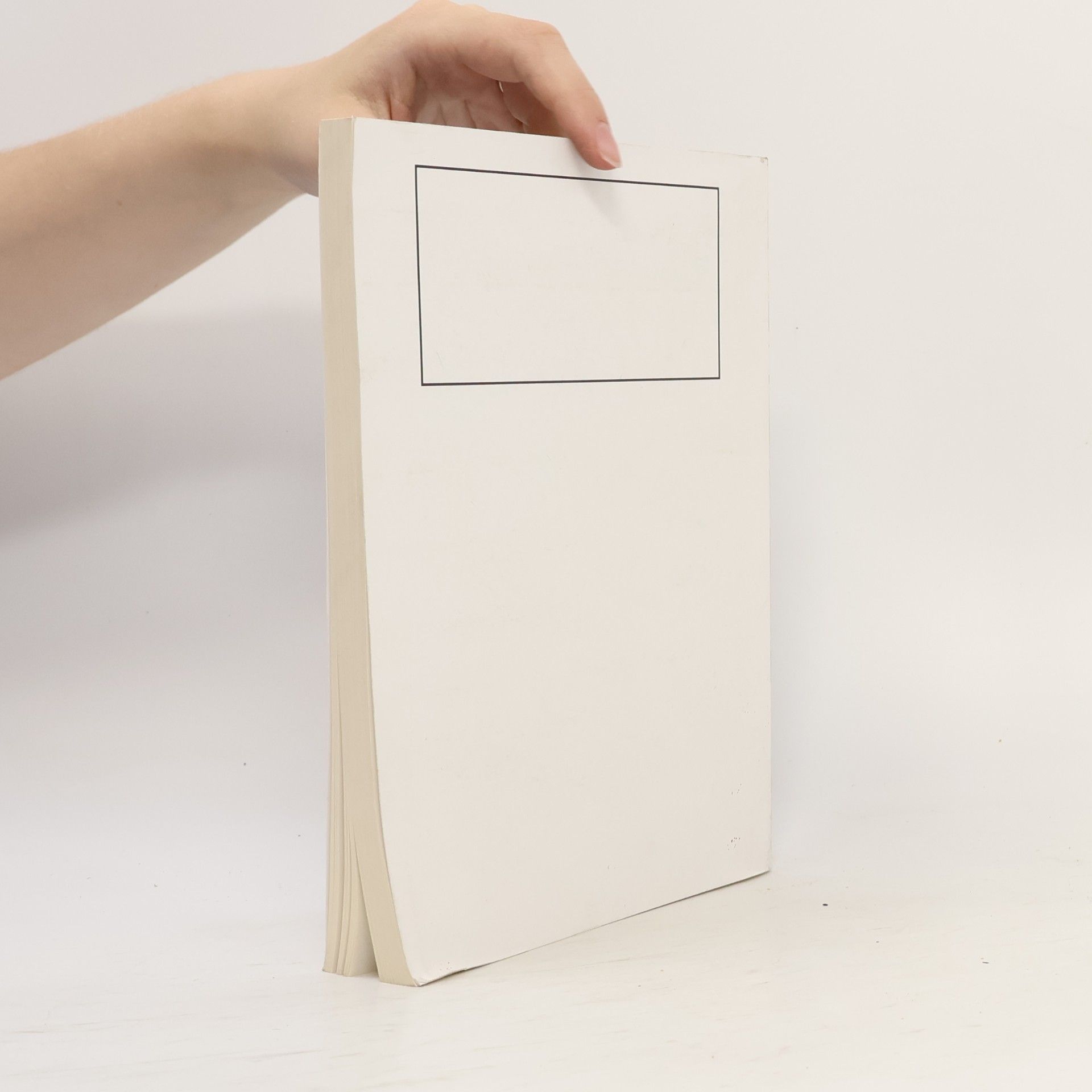 Autorenkollektiv Almanach ke 100. výročí Muzea J. A. Komenského v Uherském Brodě