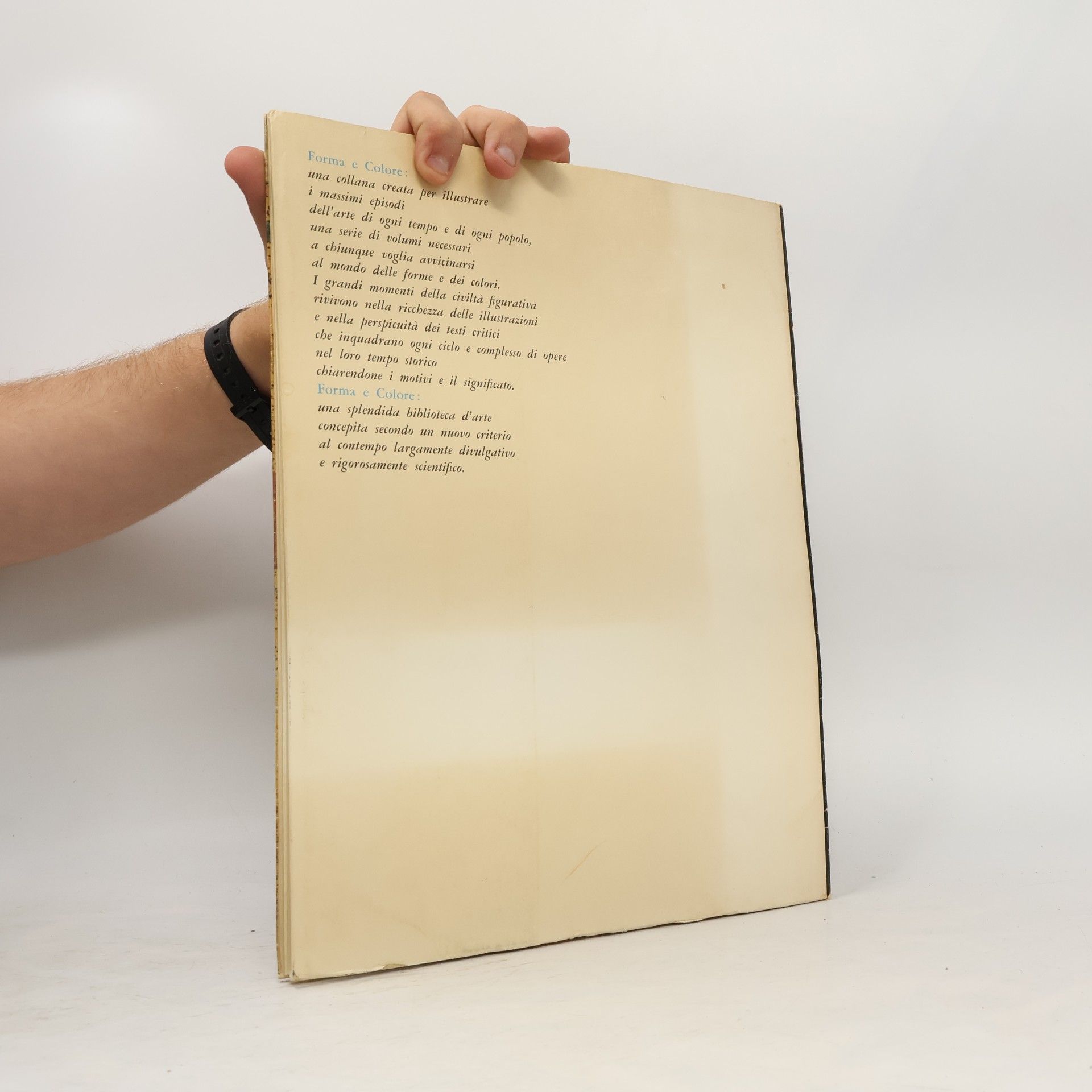 Autorenkollektiv Forma e Colore 37