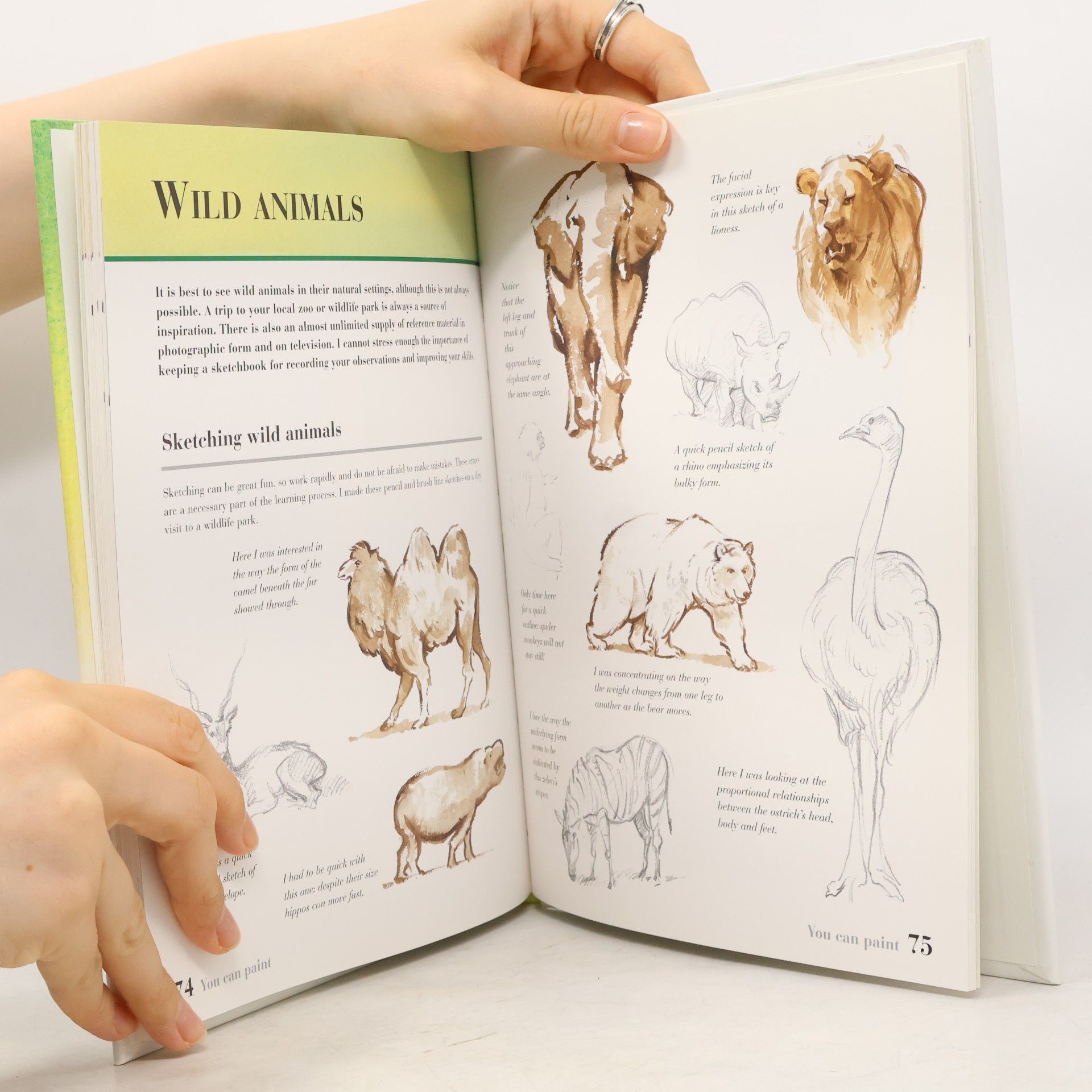Trevor Waugh You Can Paint: Animals in Watercolour